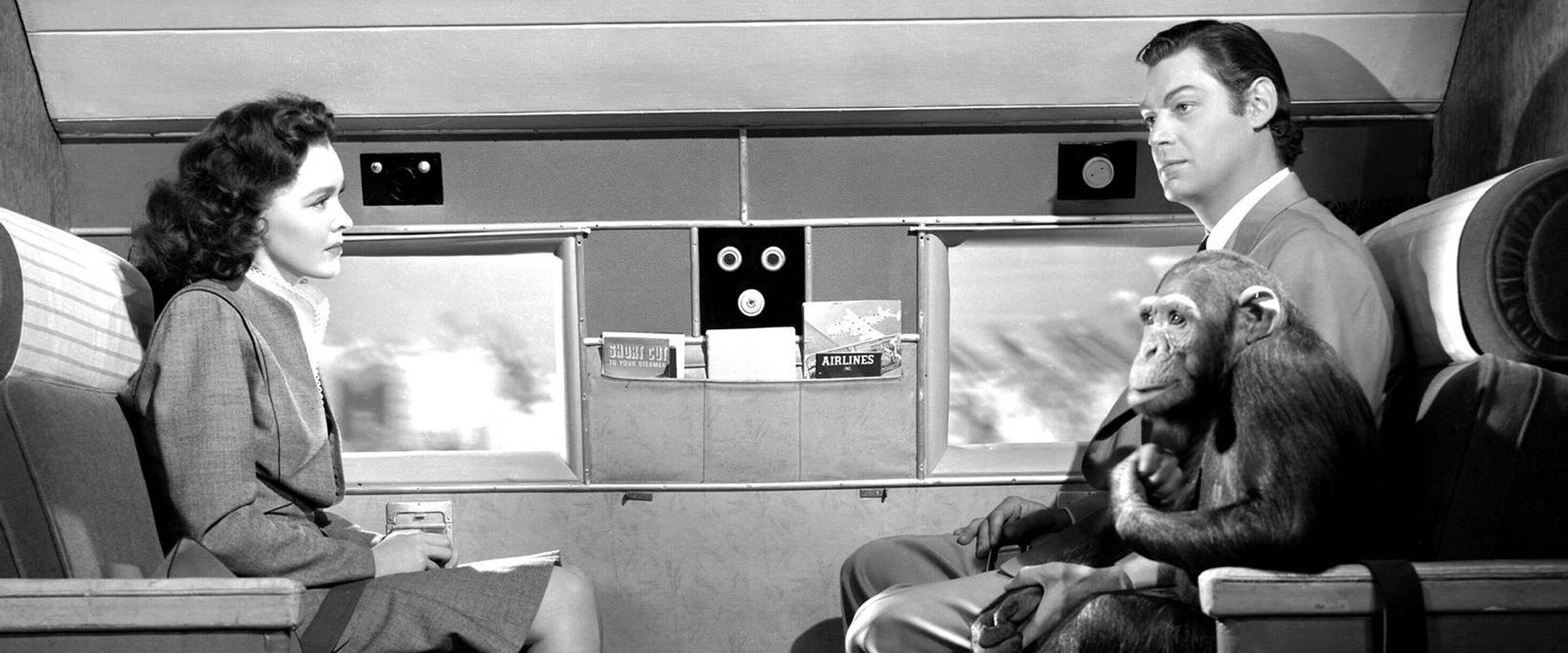 Tarzan's New York Adventure backdrop