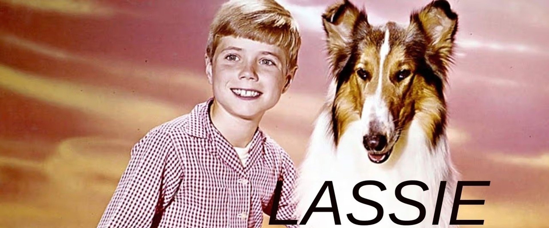 Lassie: The New Beginning backdrop