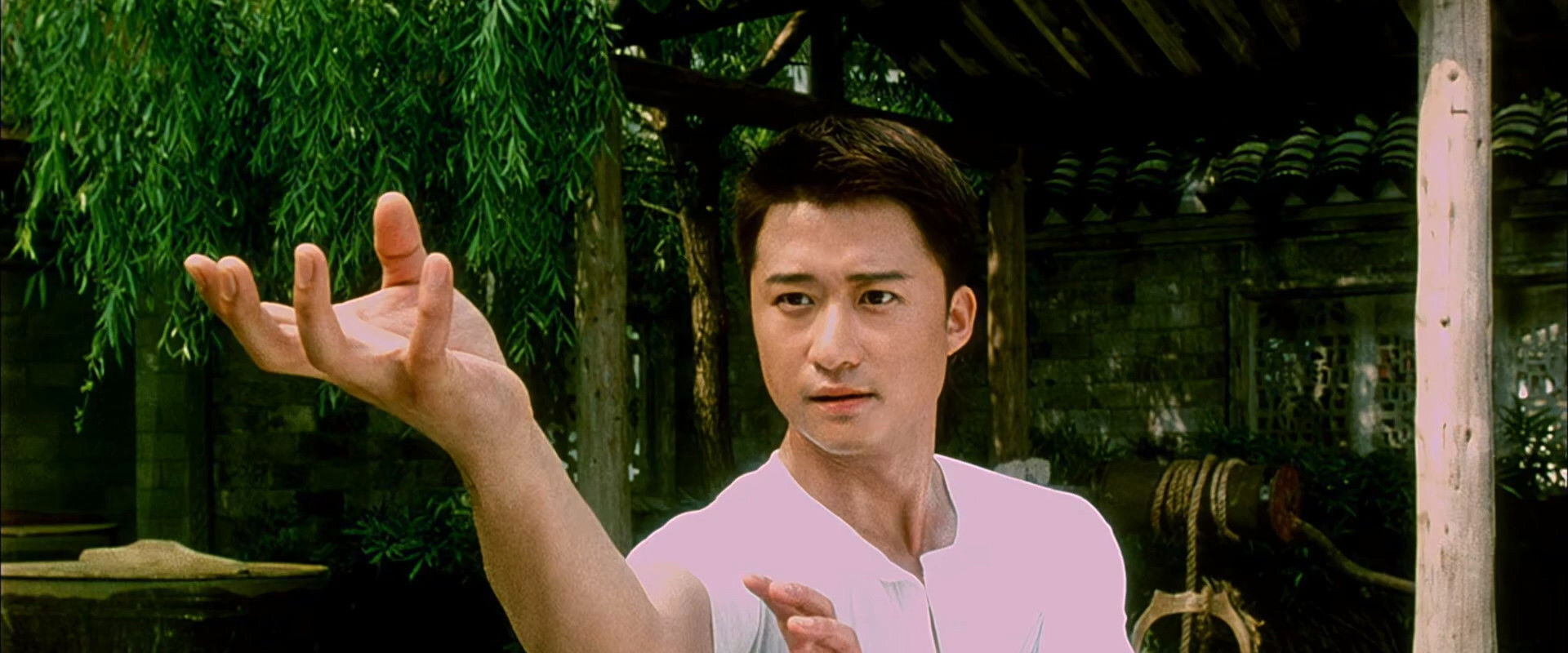 Drunken Monkey backdrop