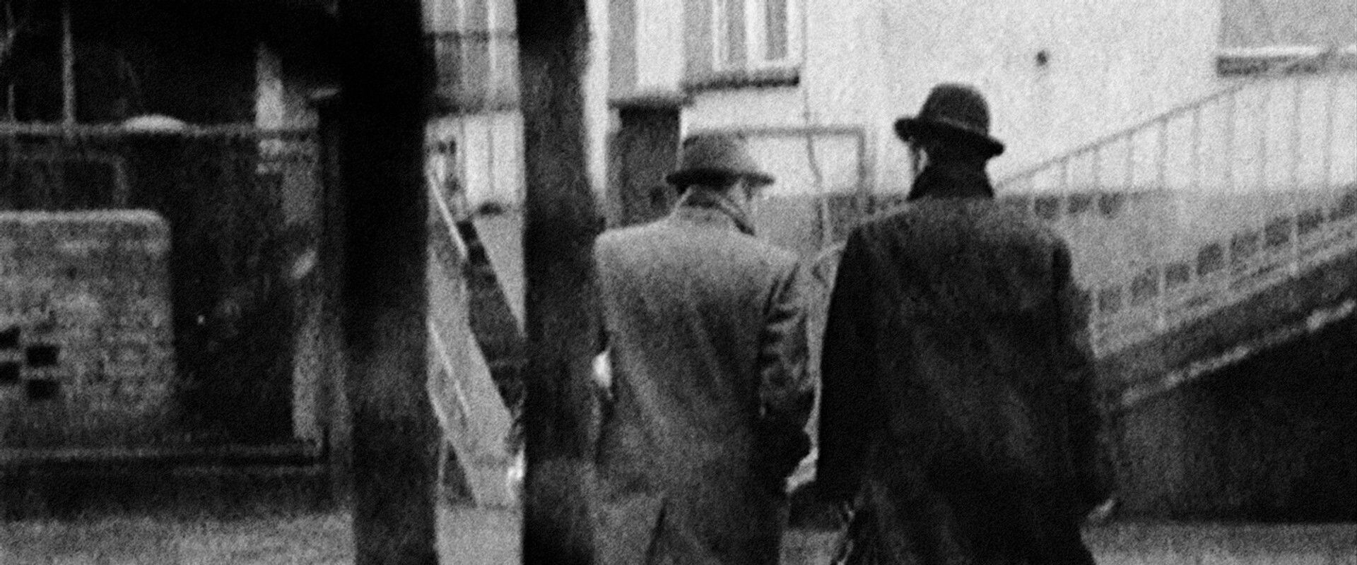 An Ordinary Country backdrop