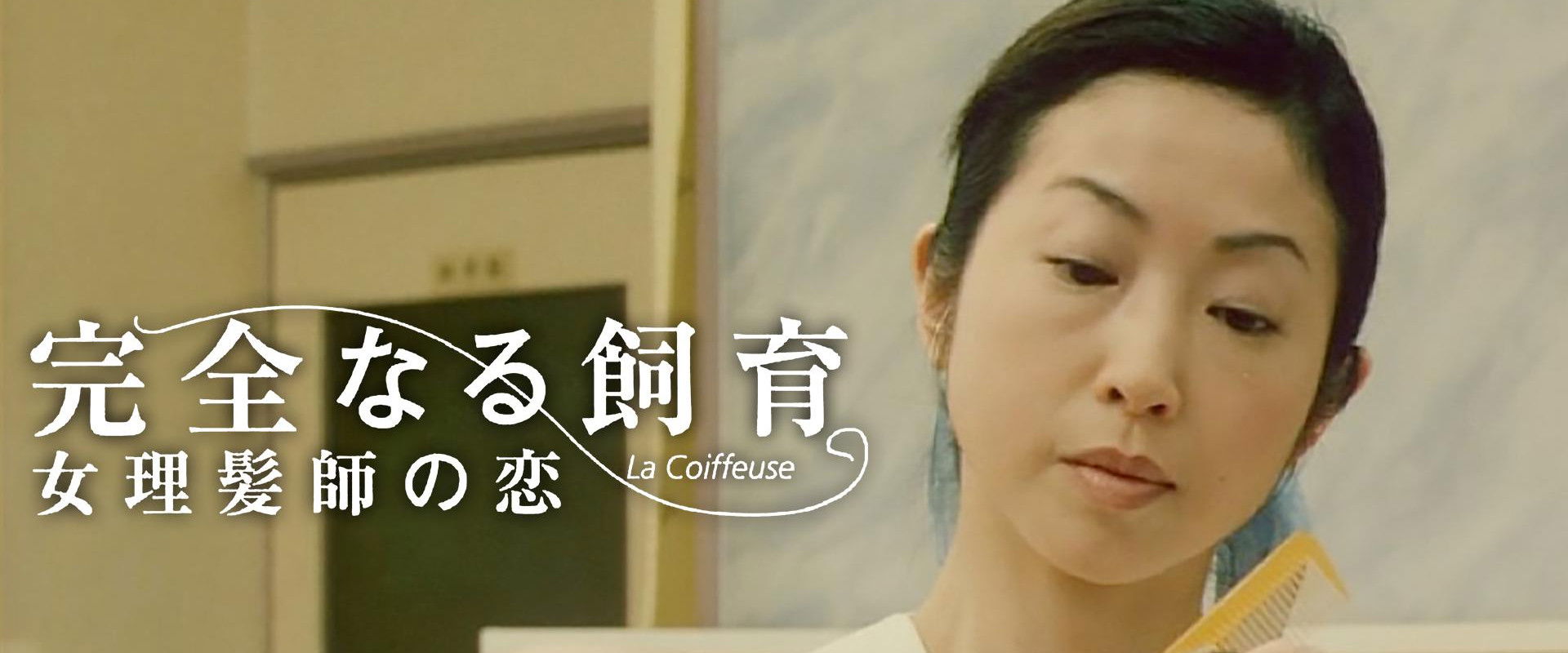 Perfect Education 5: Amazing Story backdrop