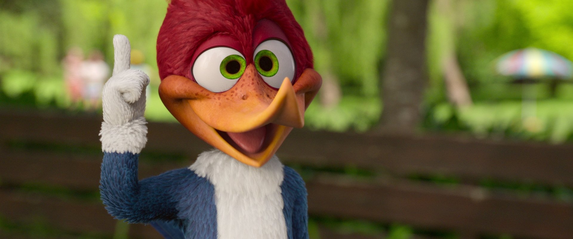 Woody Woodpecker Goes to Camp backdrop