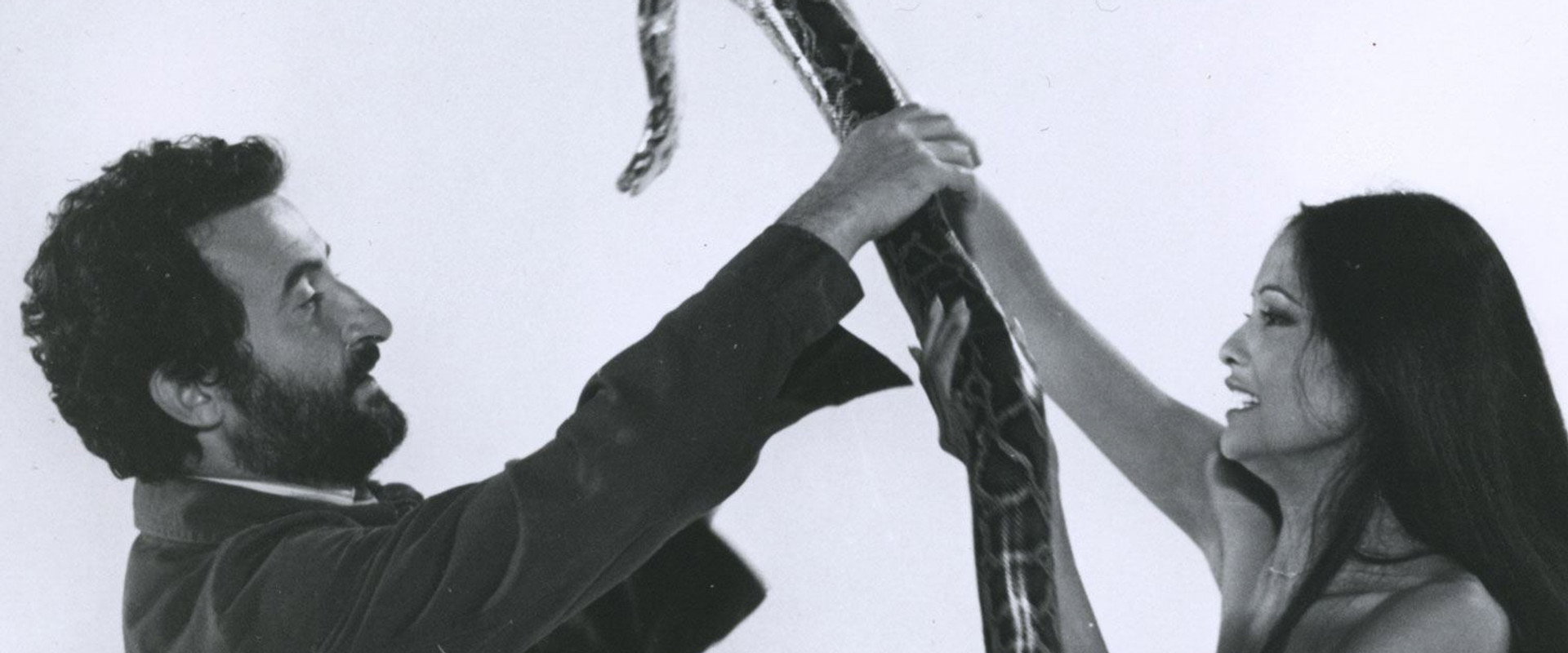 Inferno Rosso: Joe D'Amato on the Road of Excess backdrop