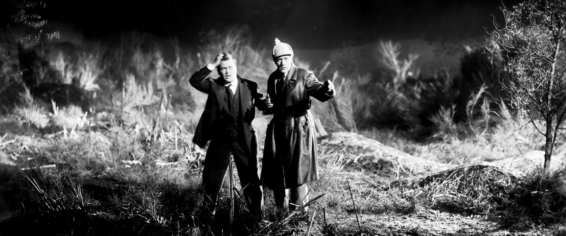 The Hound of the Baskervilles backdrop