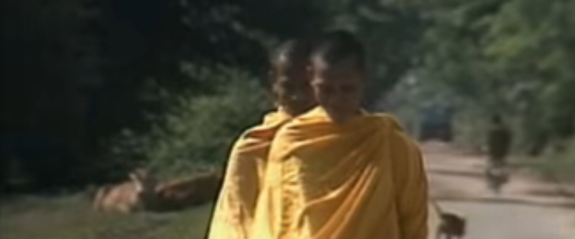 Inside the Khmer Rouge backdrop