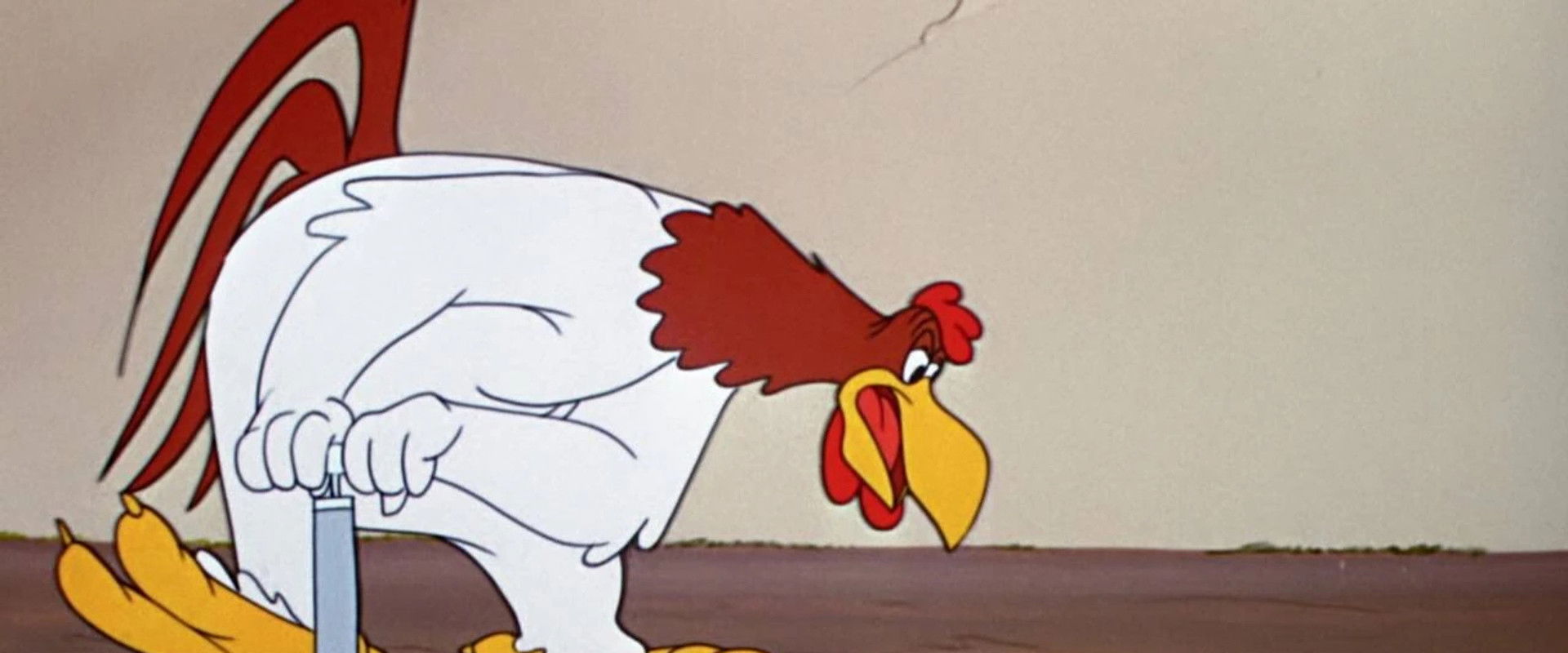 A Fractured Leghorn backdrop