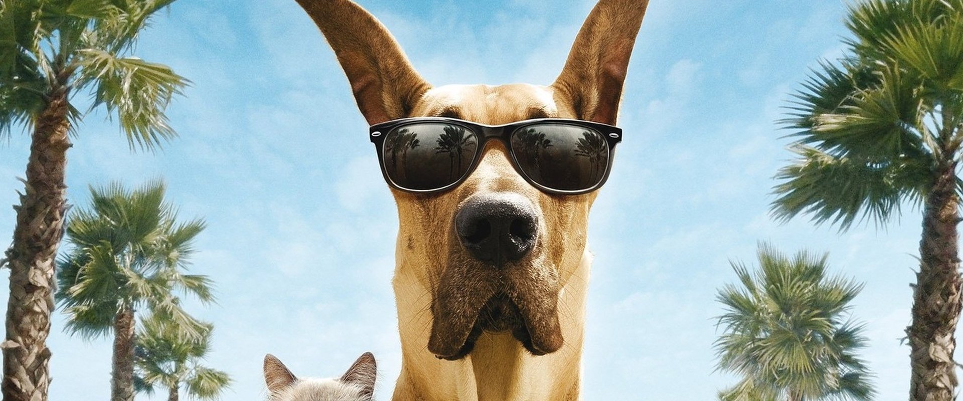 Marmaduke backdrop
