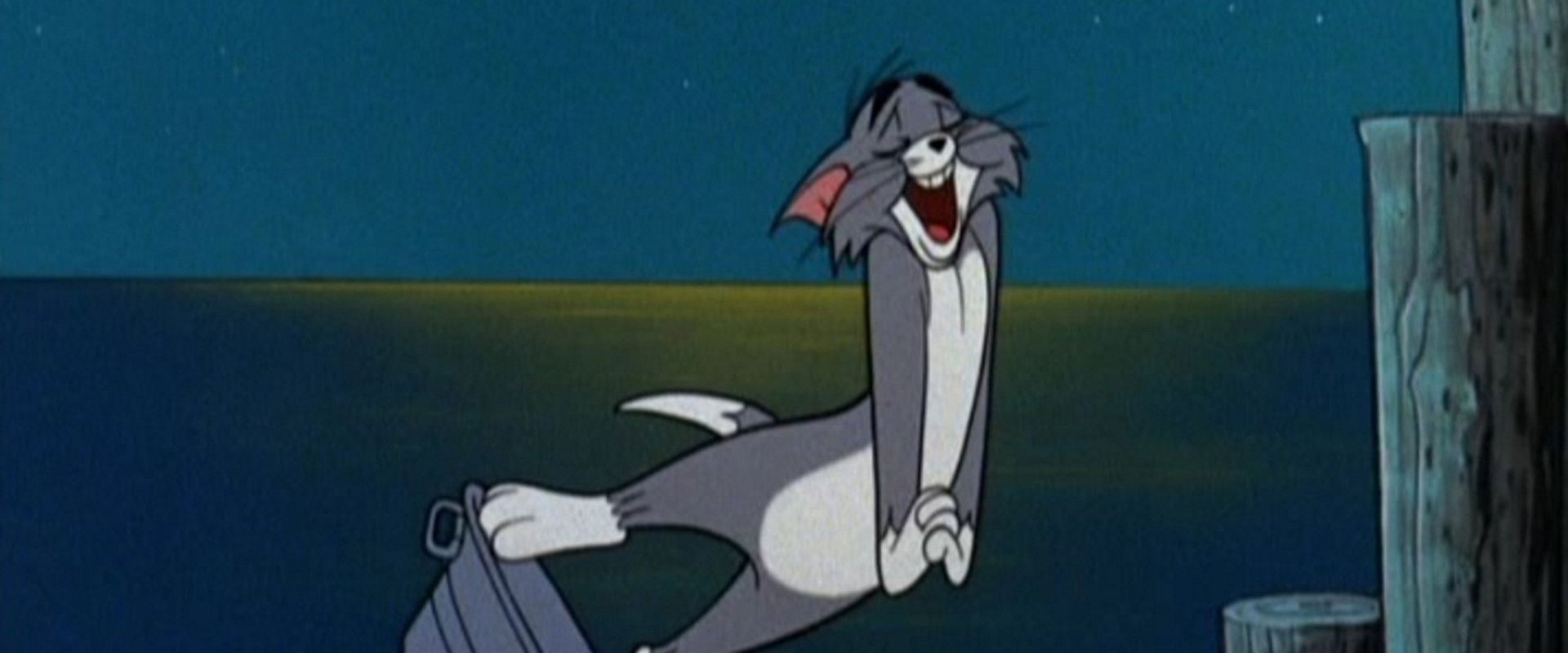 Cat and Dupli-cat backdrop