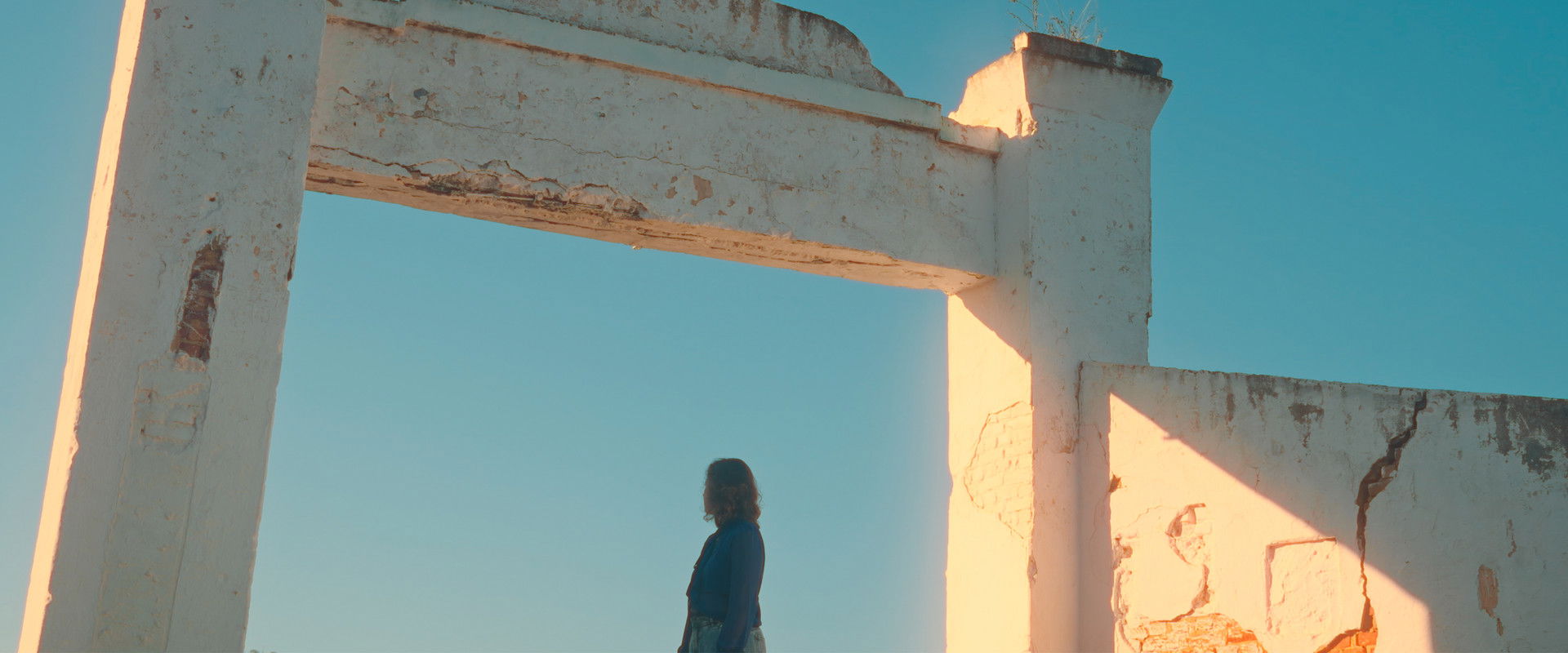 Abandoning a Horse backdrop