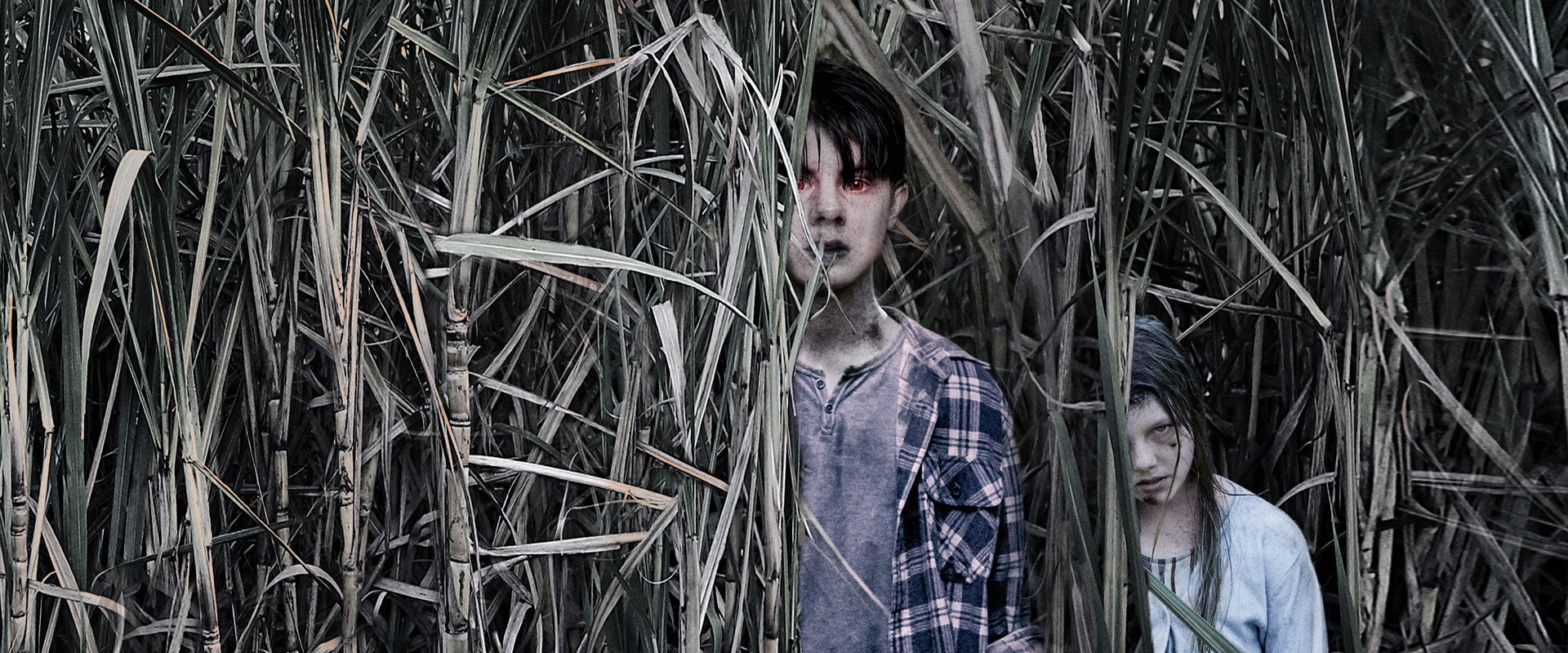 Sweet River backdrop