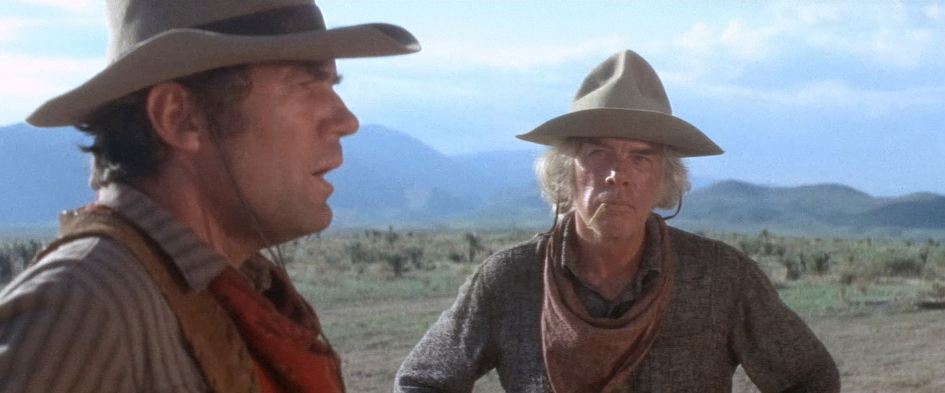 Monte Walsh backdrop