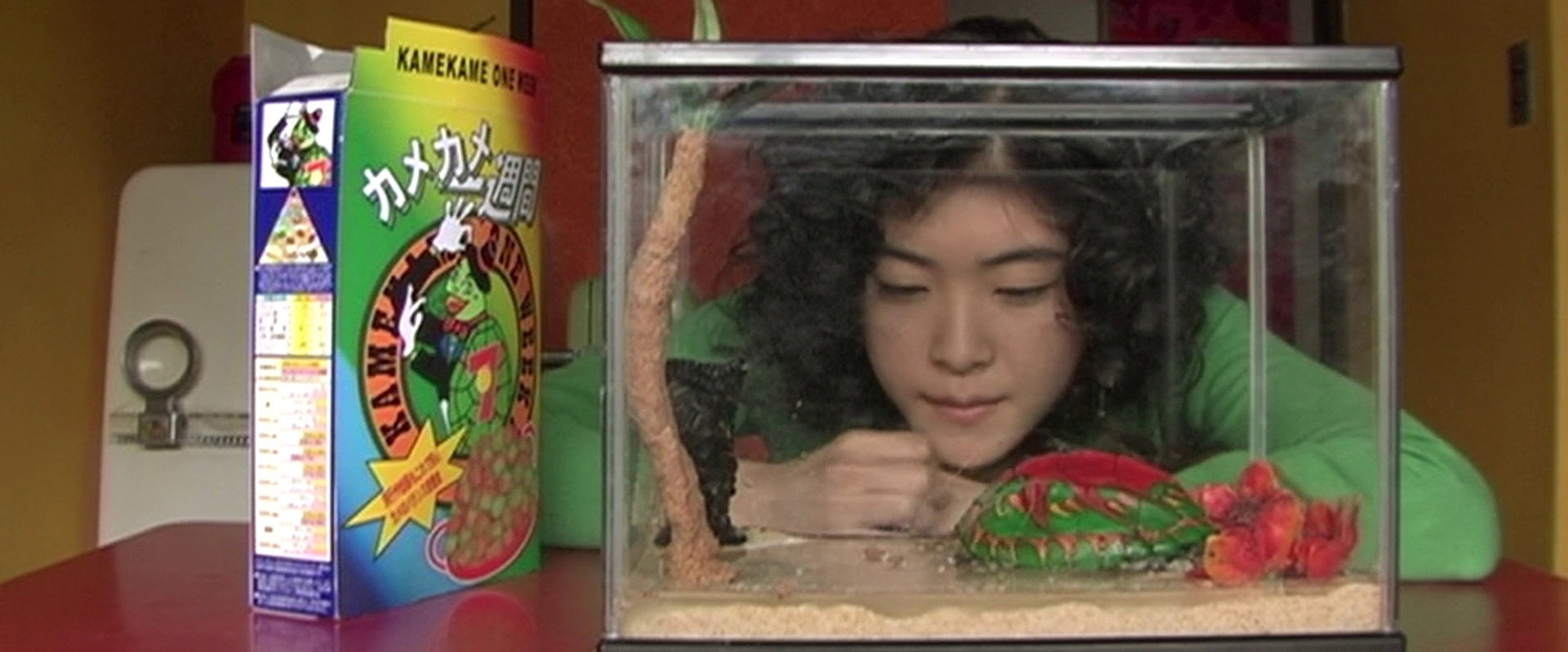 Turtles Are Surprisingly Fast Swimmers backdrop