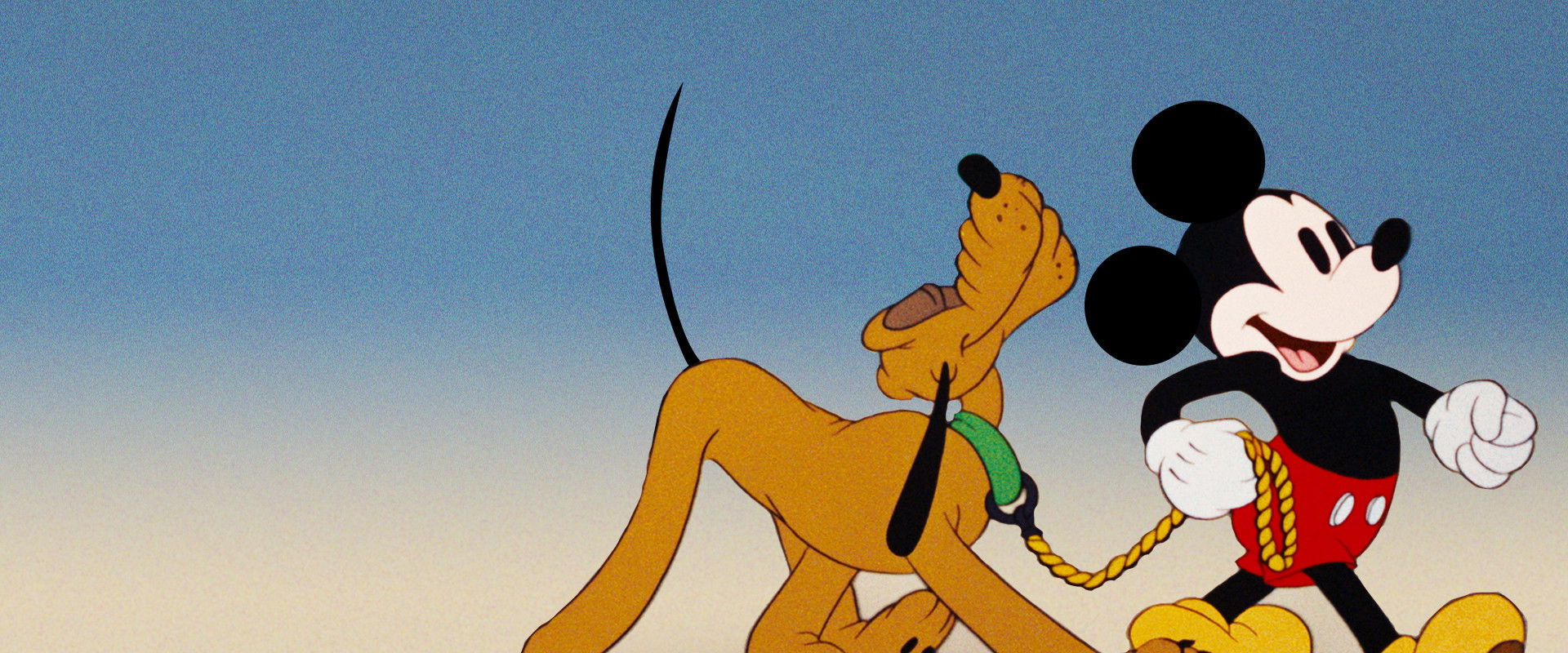 Society Dog Show backdrop