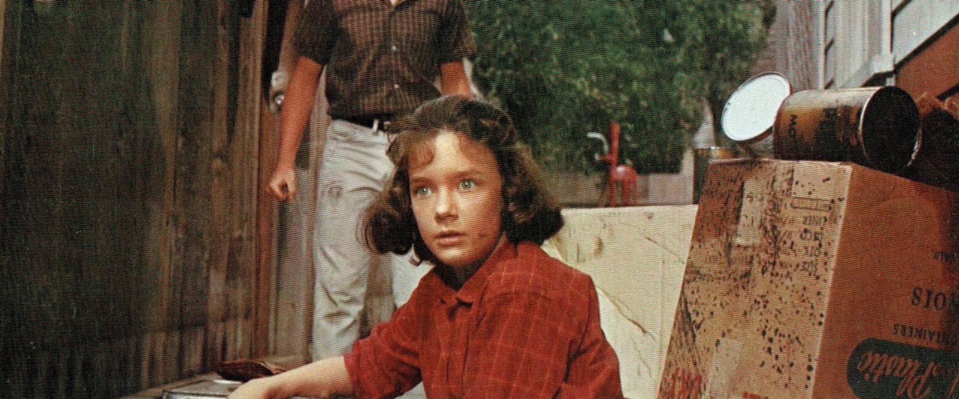 A Tiger Walks backdrop