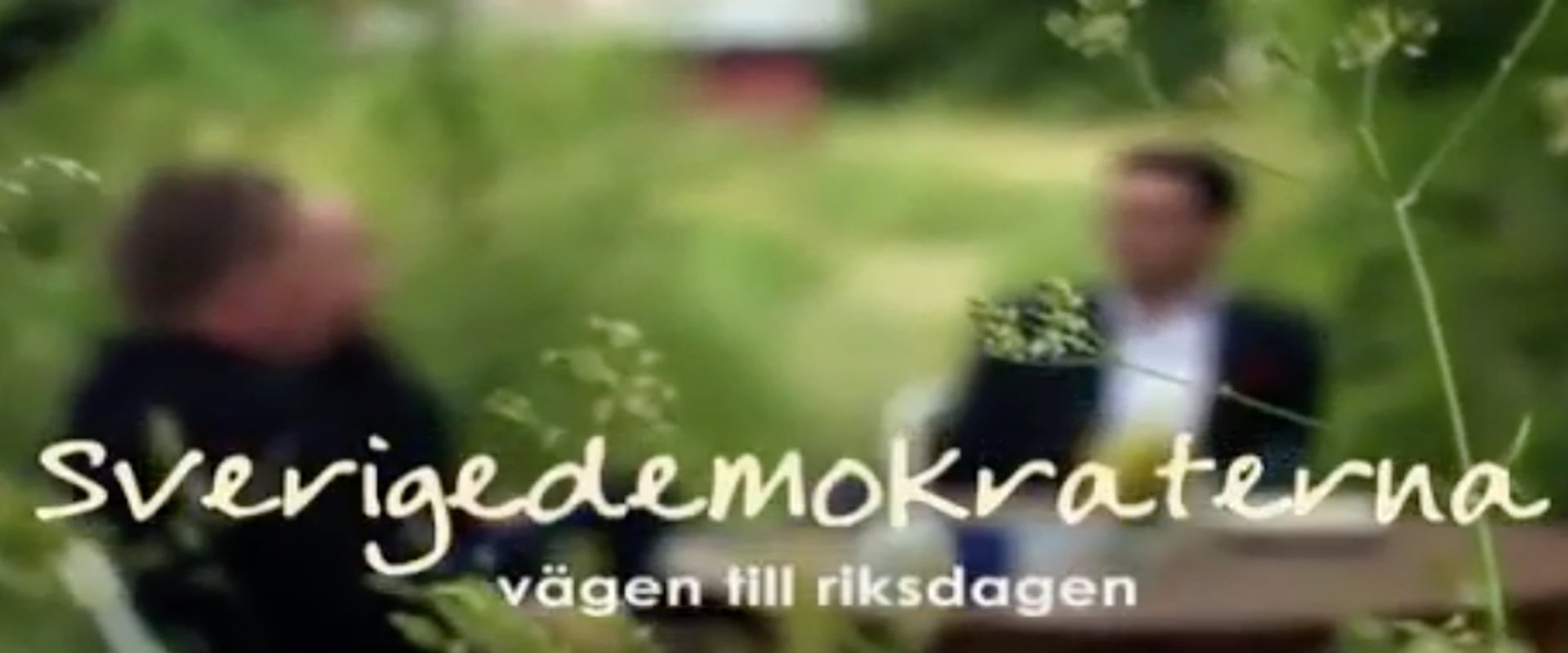 Sverigedemokraterna - vägen till riksdagen backdrop
