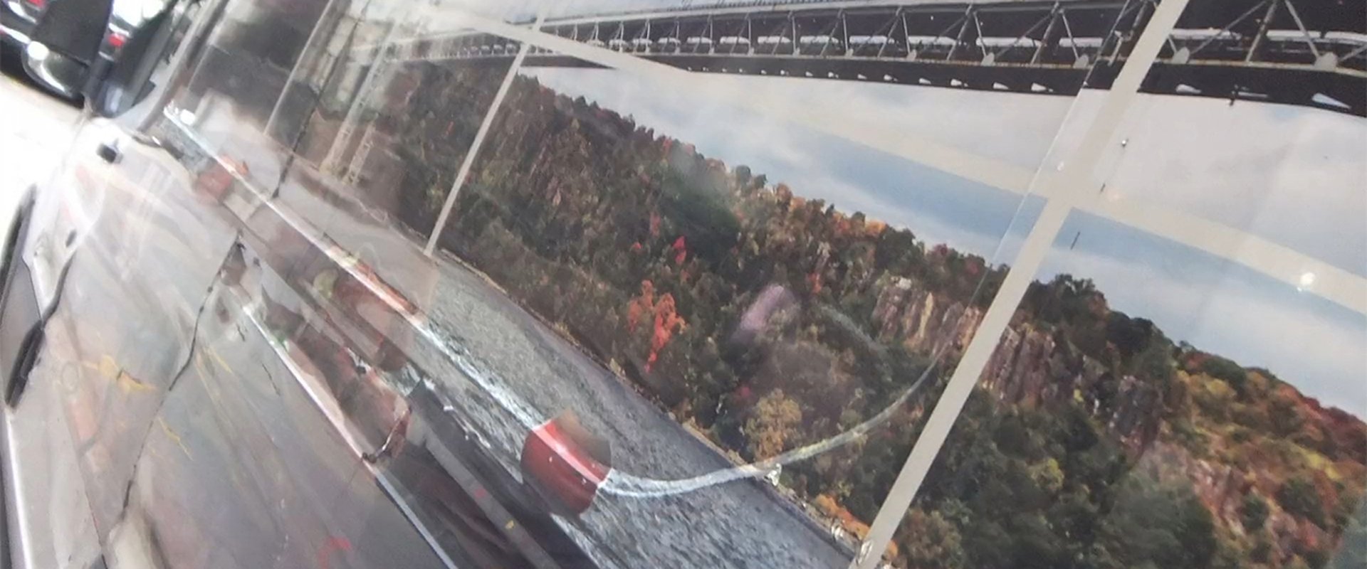 Foliage in Moving Car Window