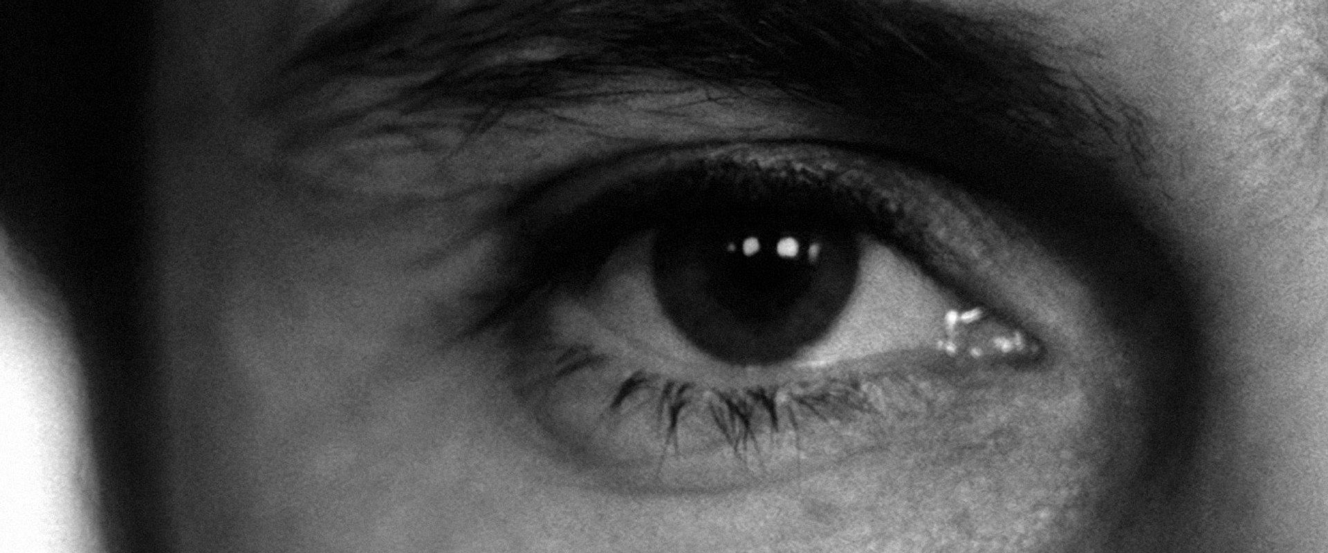 Who's That Knocking at My Door backdrop