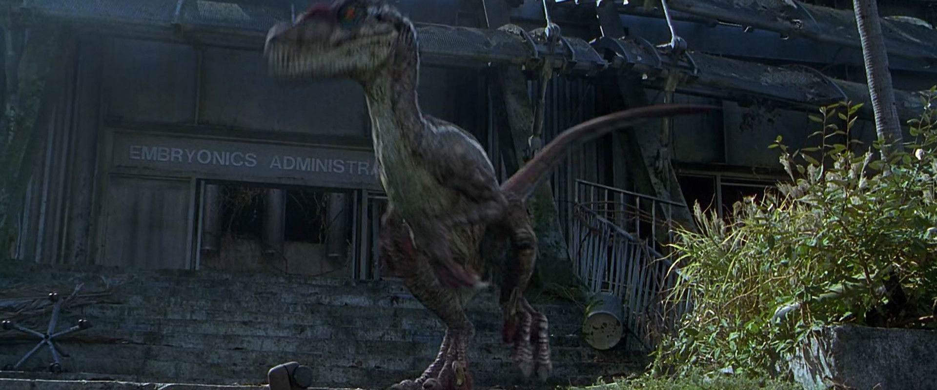 Beyond Jurassic Park backdrop