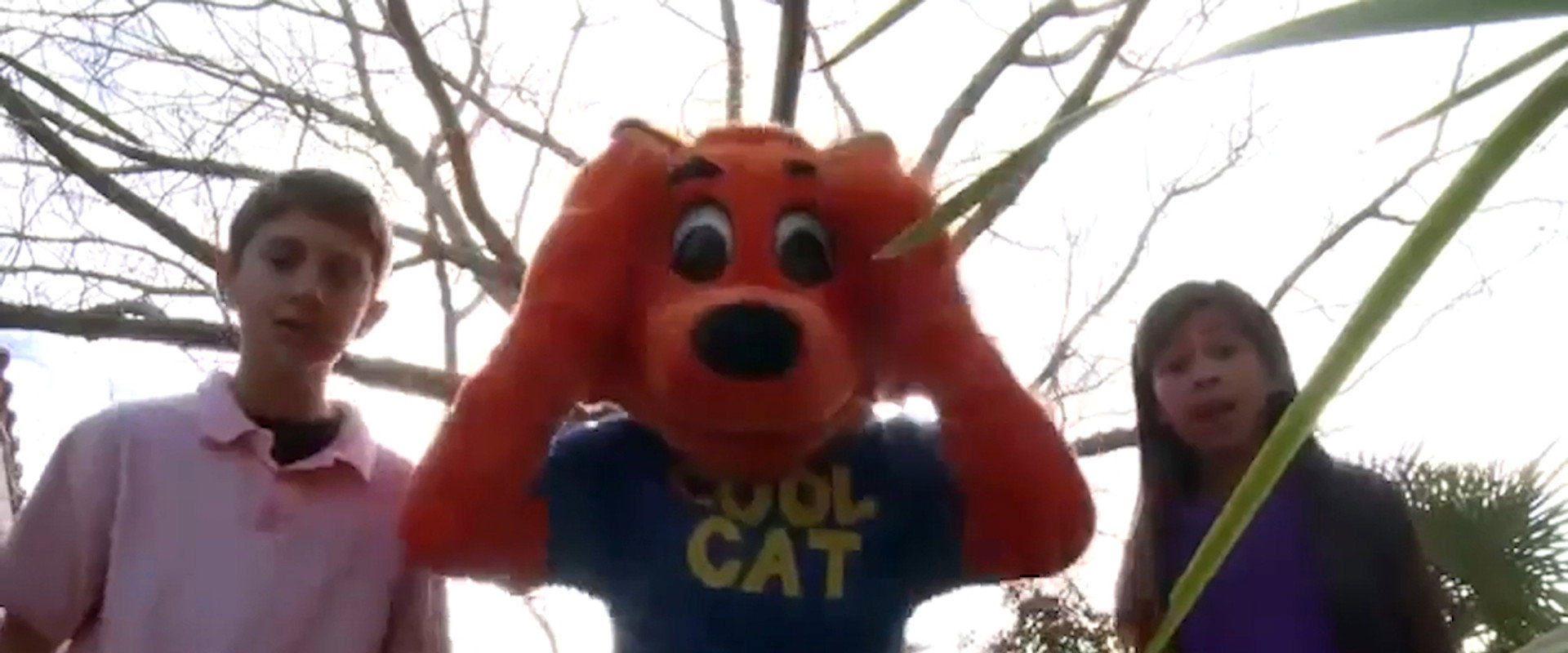 Cool Cat Finds a Gun backdrop