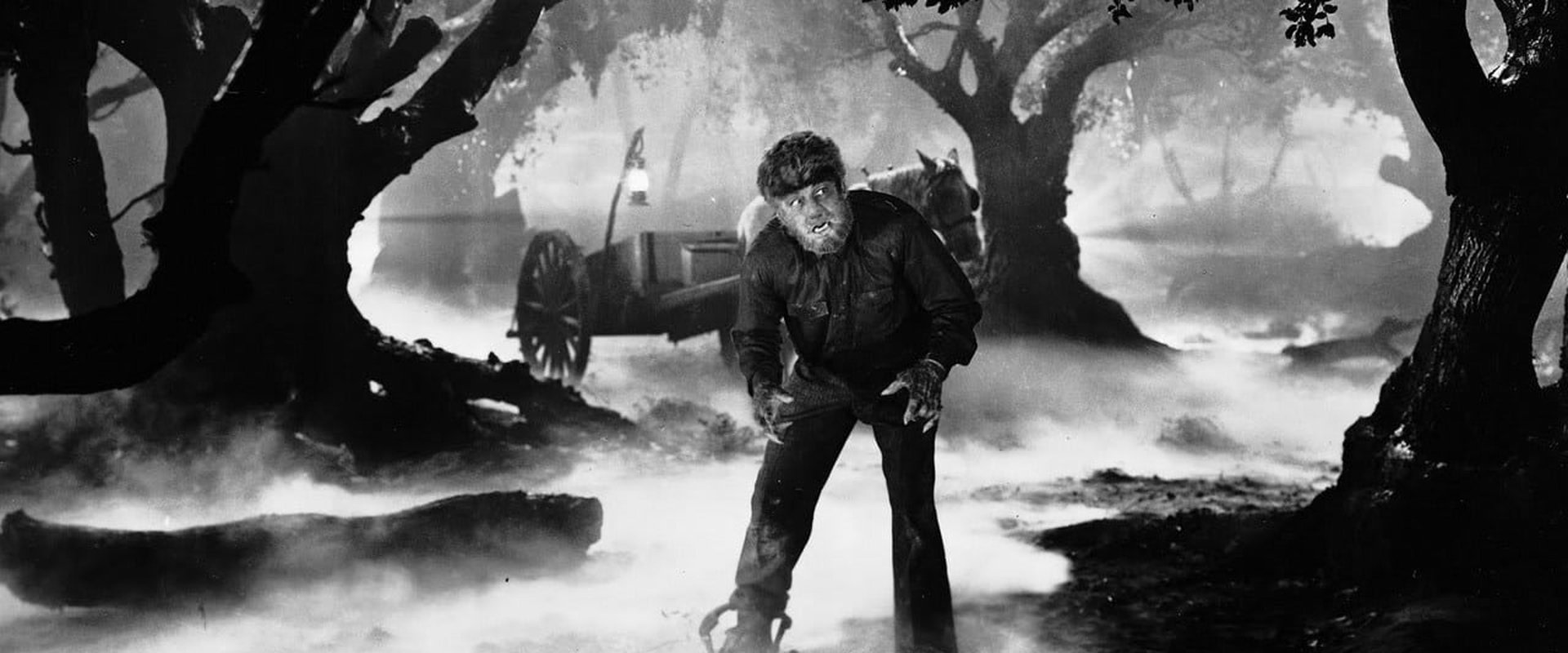 Monster by Moonlight! The Immortal Saga of 'The Wolf Man' backdrop
