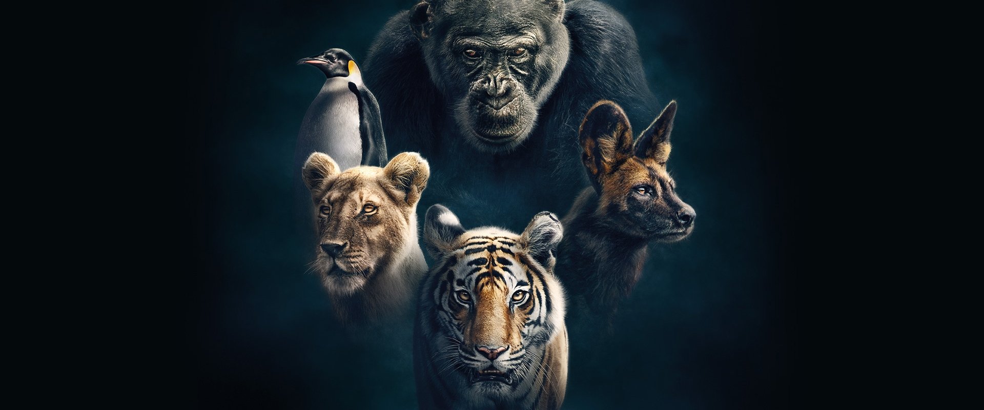 Dynasties