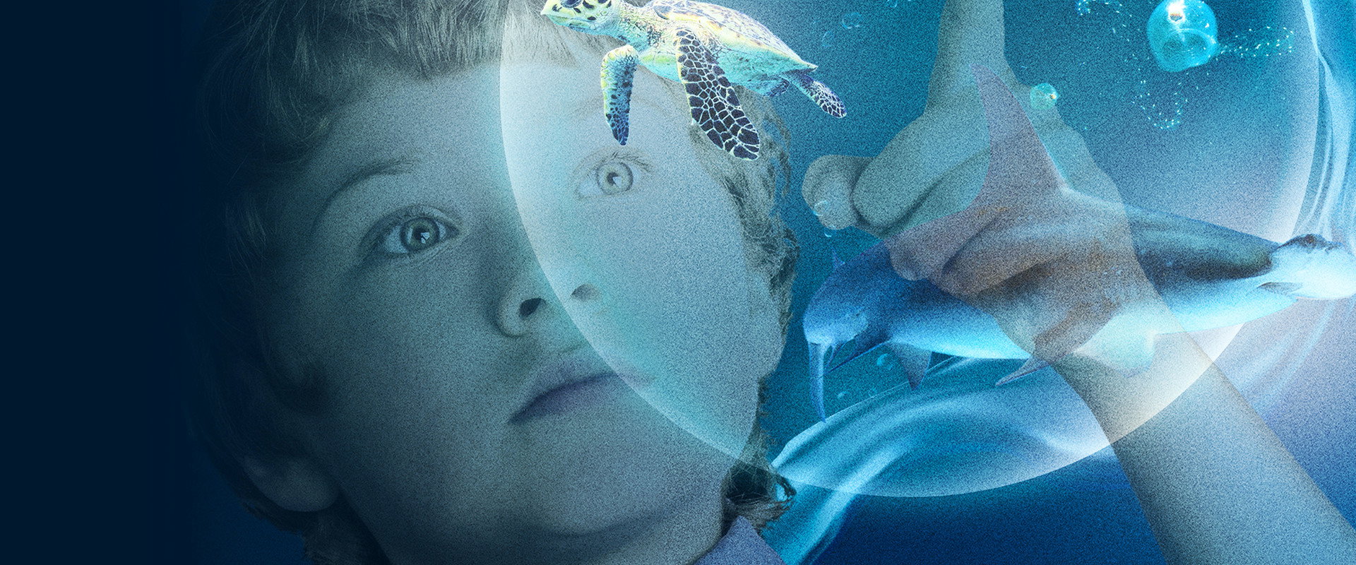 Wonders of the Sea backdrop