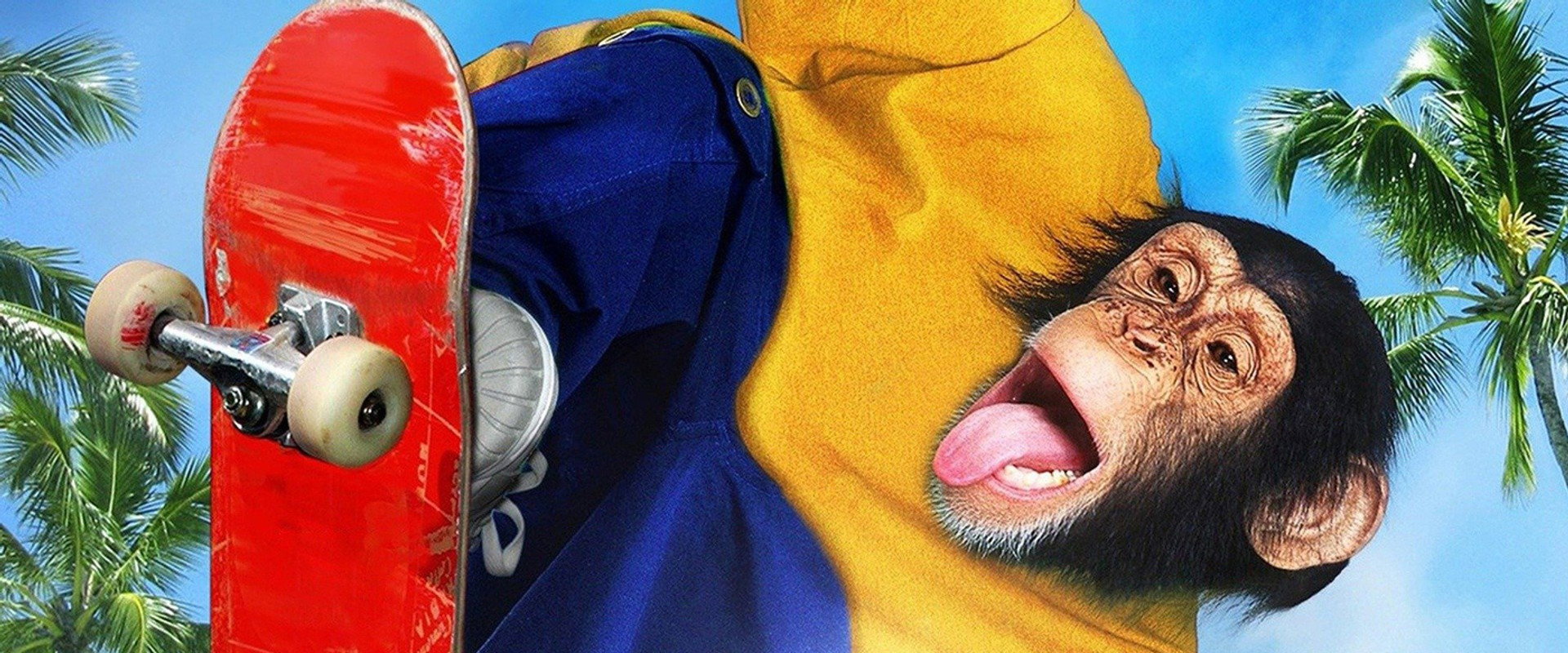 MVP 2: Most Vertical Primate backdrop