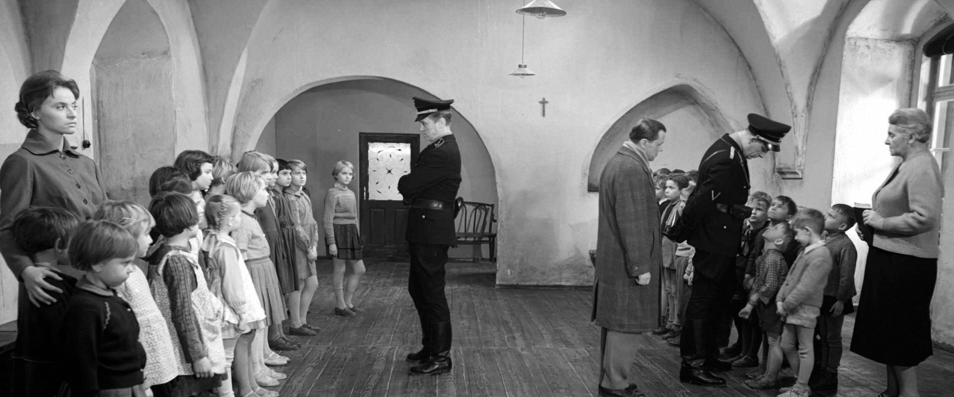 Birth Certificate backdrop