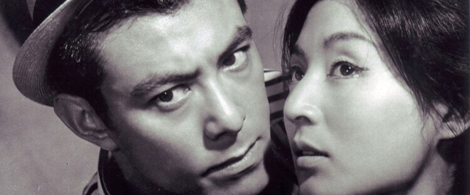 Clamouring Canines backdrop