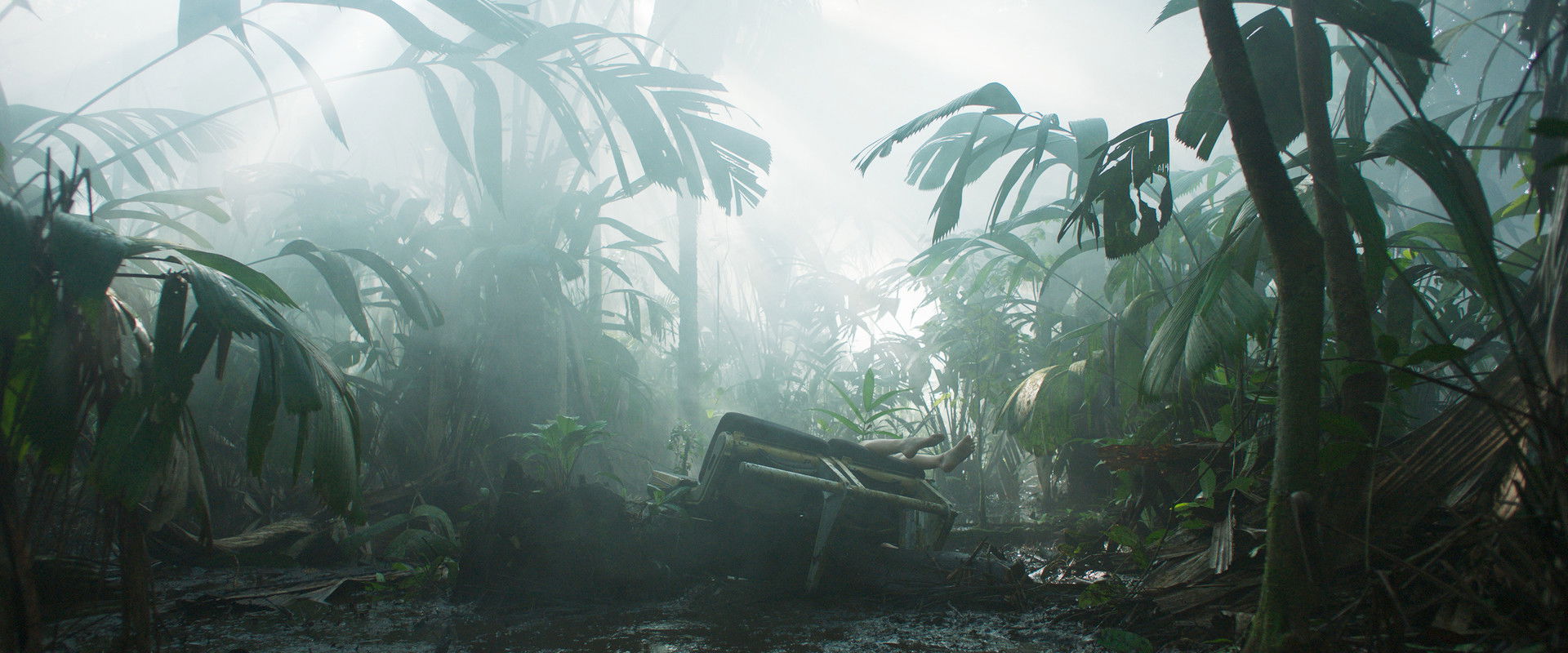 Transamazonia backdrop