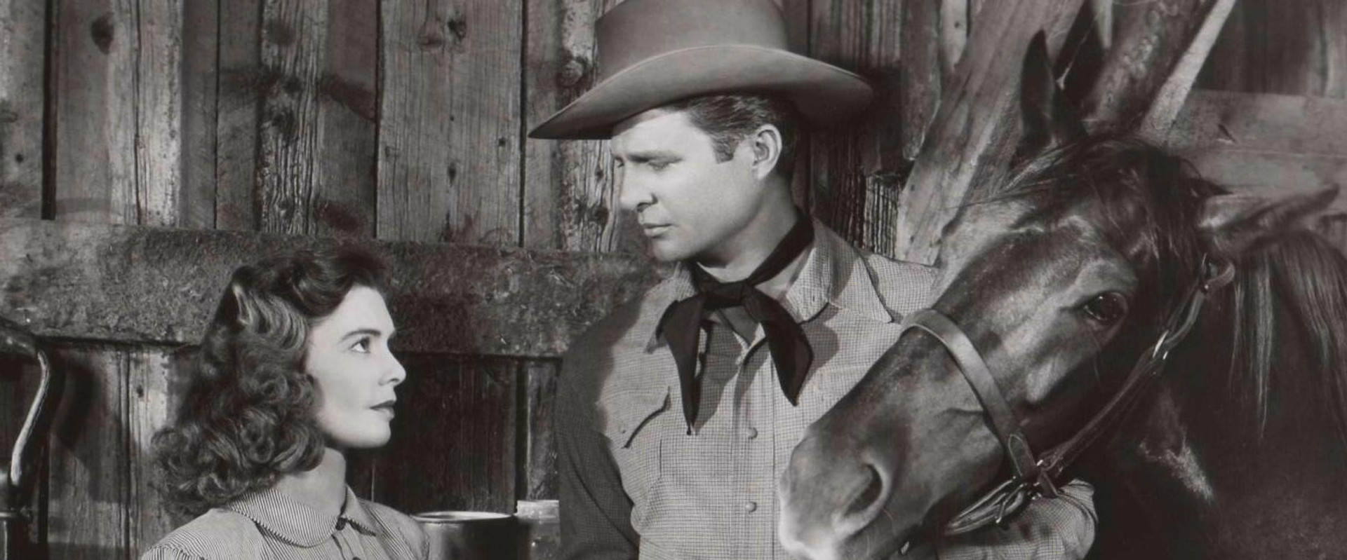 Red Stallion In The Rockies backdrop