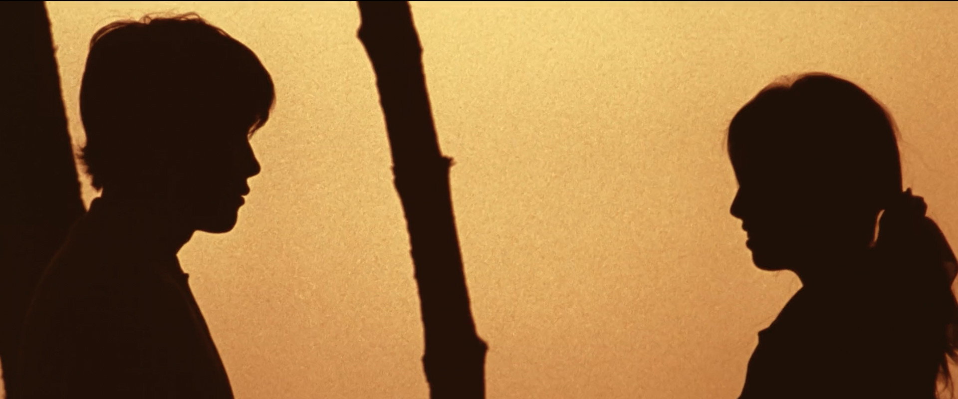 Bungee Jumping of Their Own backdrop