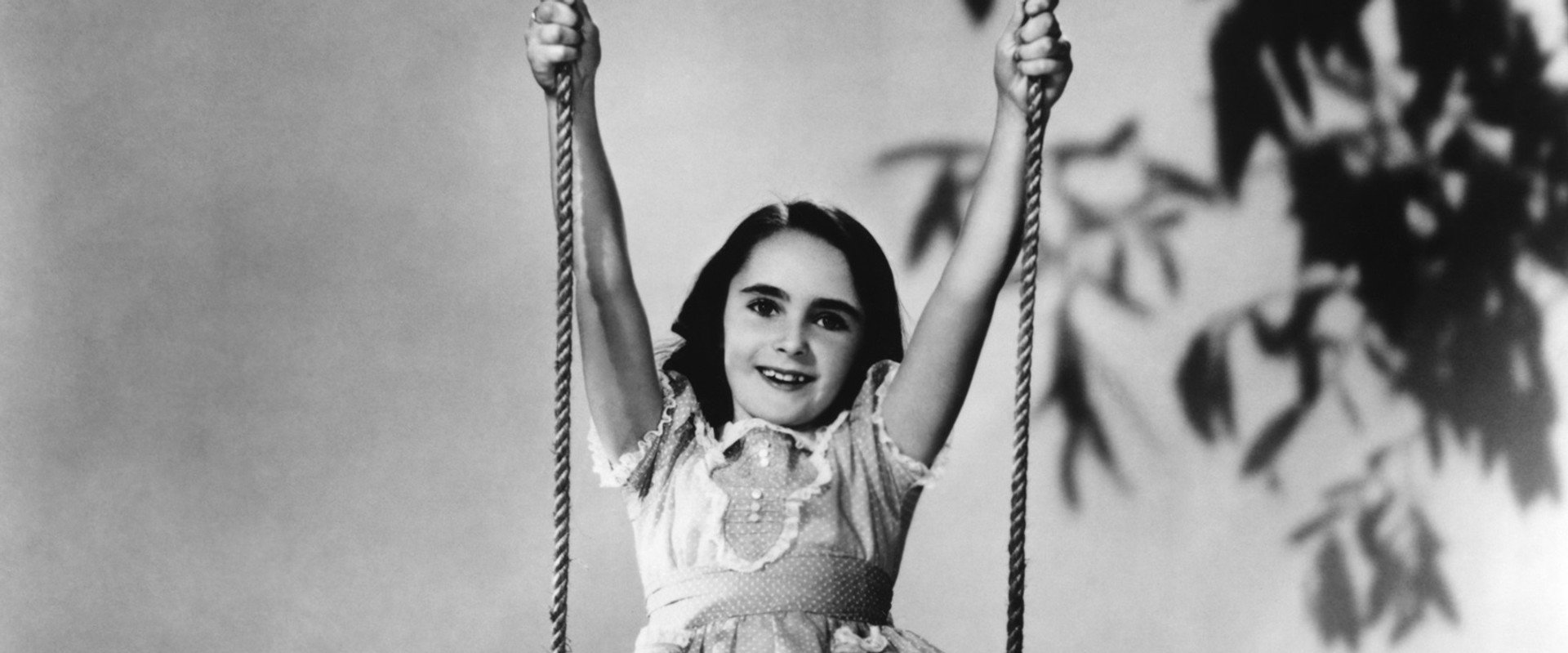 The White Cliffs of Dover backdrop