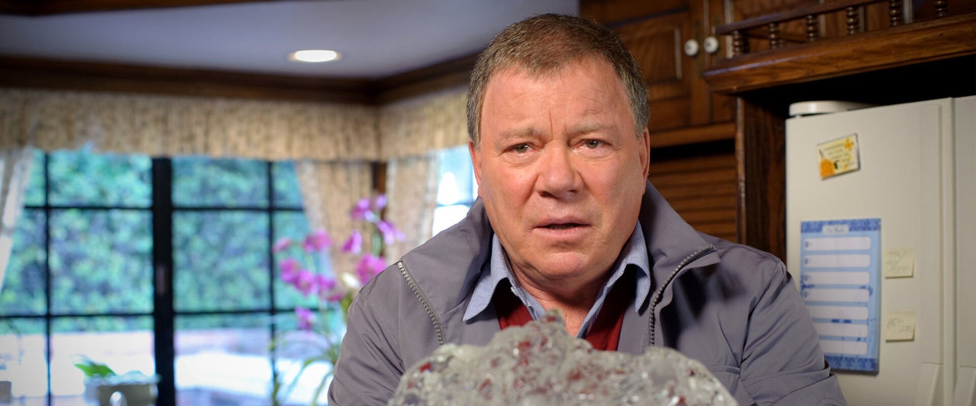 William Shatner's Weird or What?