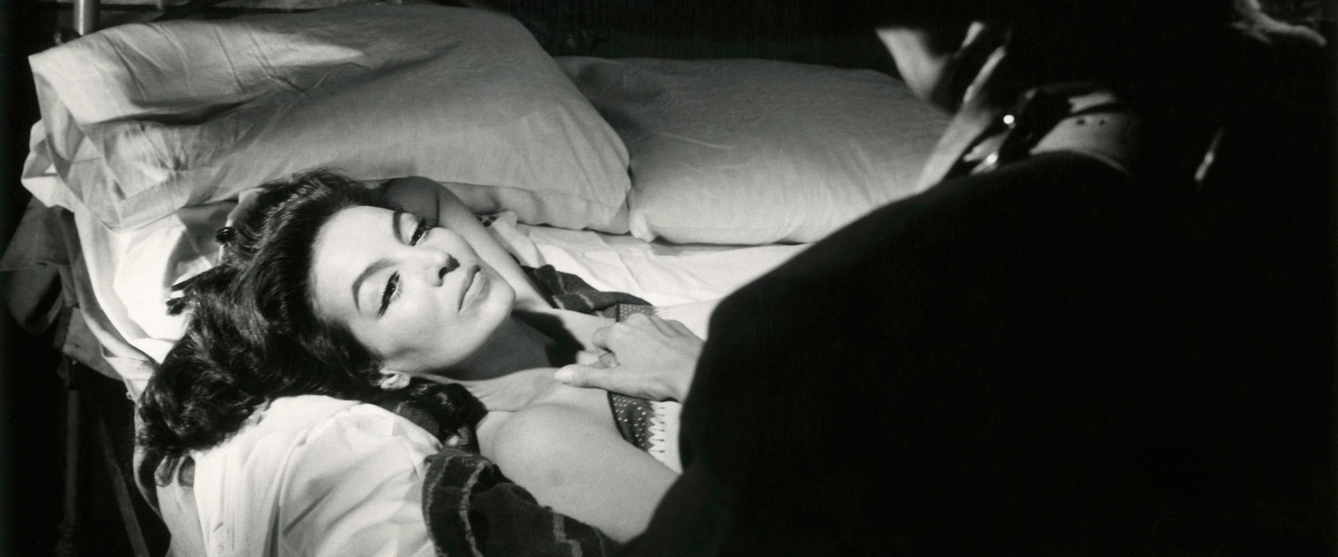 La Cucaracha backdrop