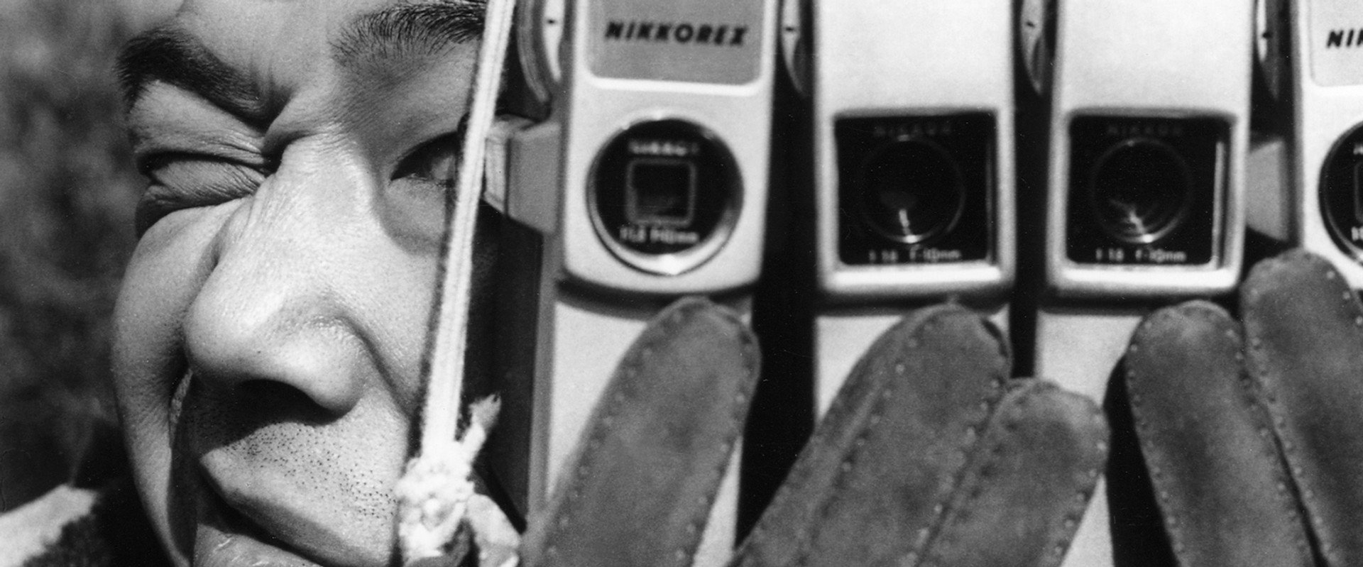 The Pornographers backdrop