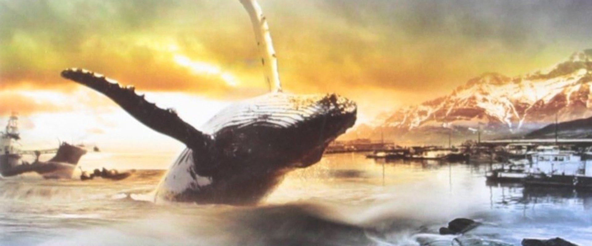 A Whale for the Killing