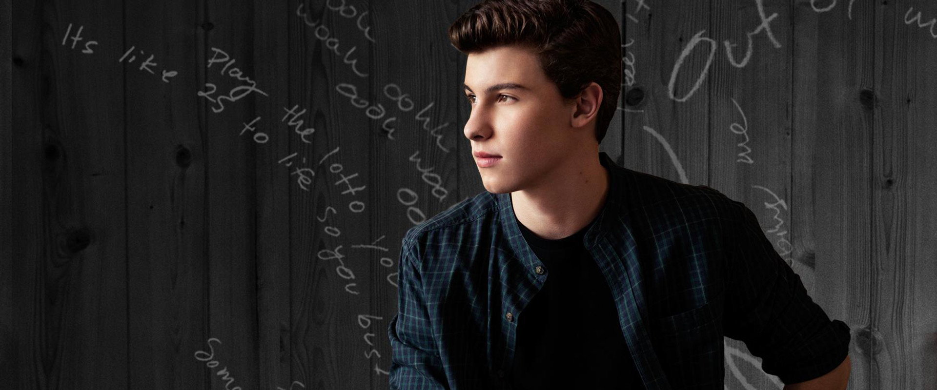 Shawn Mendes: Live at the Greek Theatre backdrop