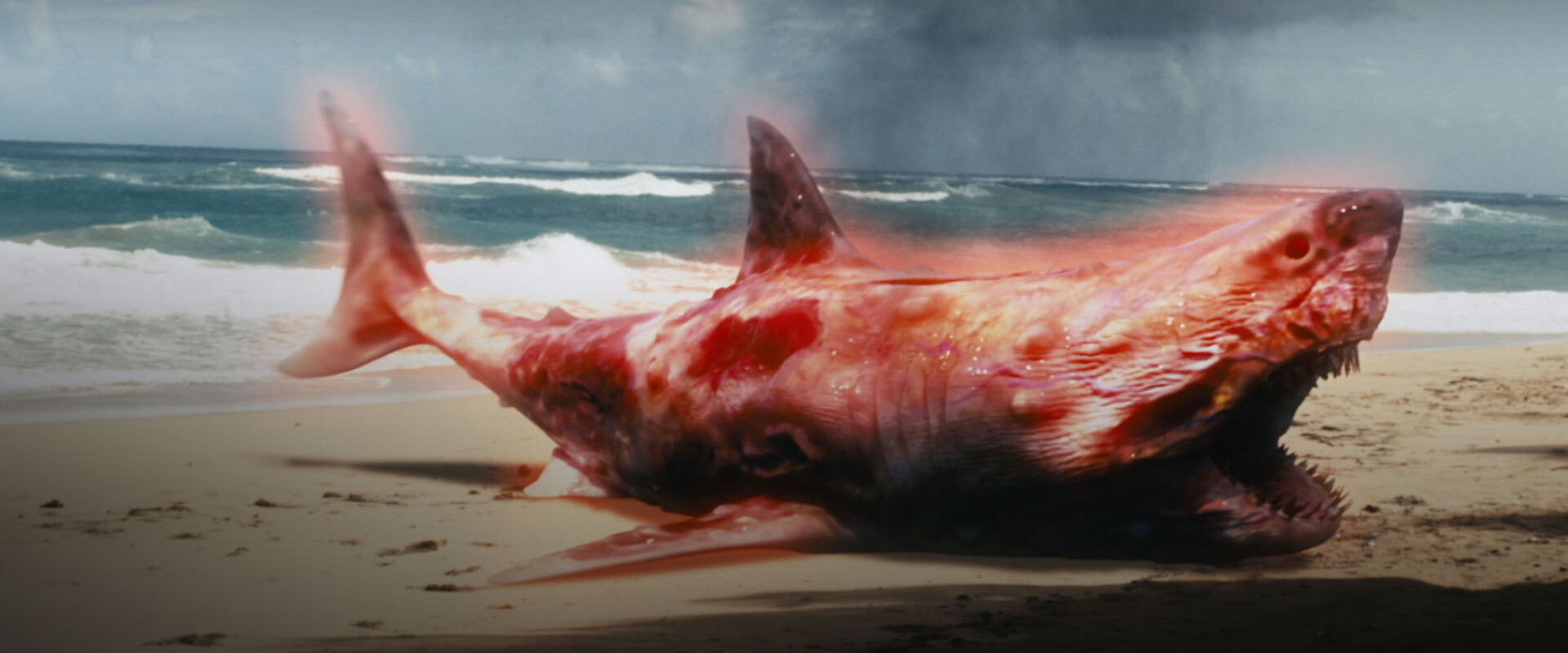 Atomic Shark backdrop