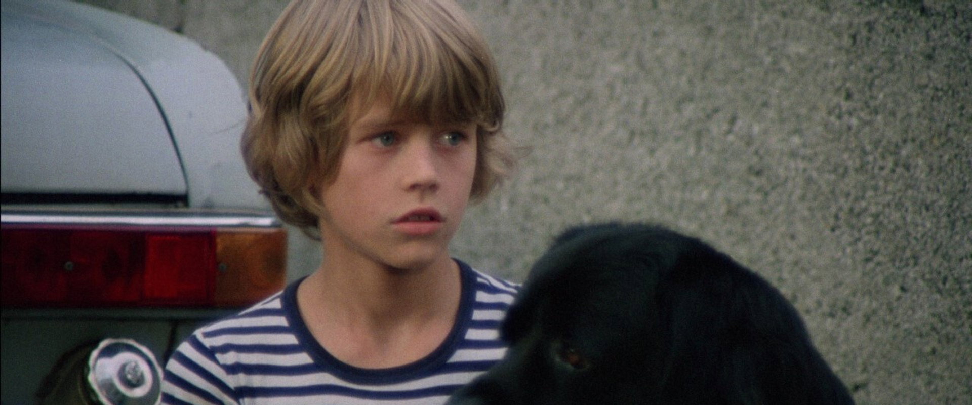Hang on, Doggy backdrop