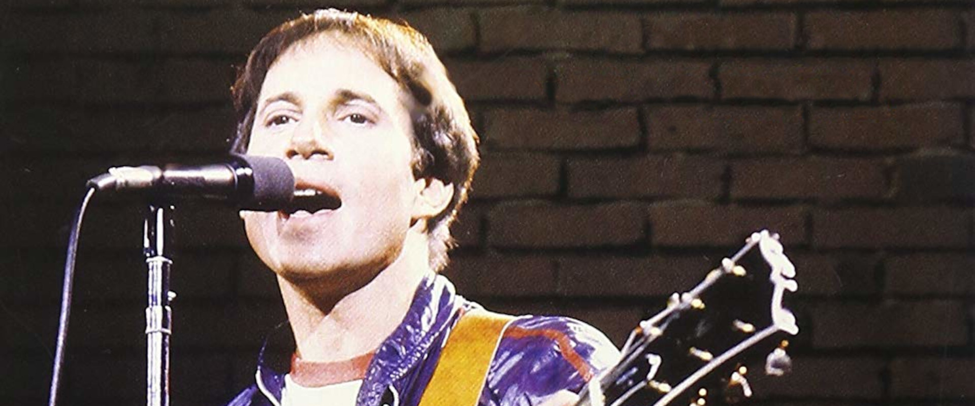 Paul Simon in Concert backdrop