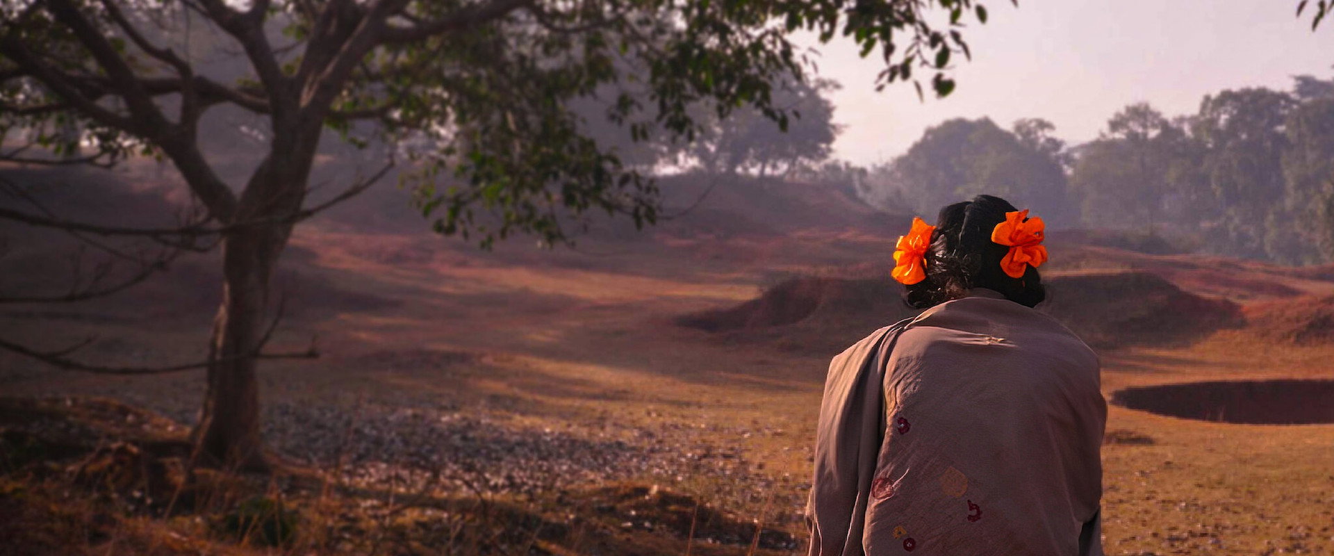 To Kill a Tiger backdrop