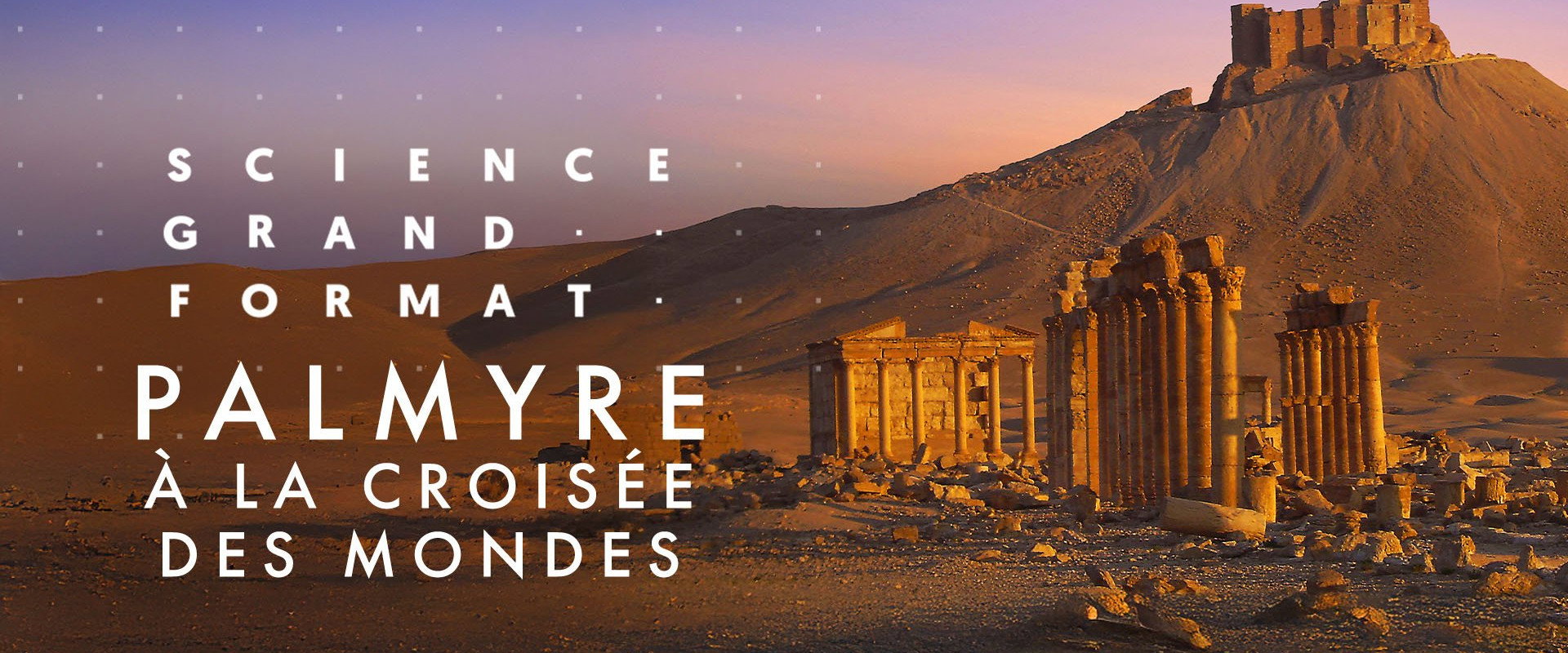 Palmyre, à la croisée des mondes backdrop