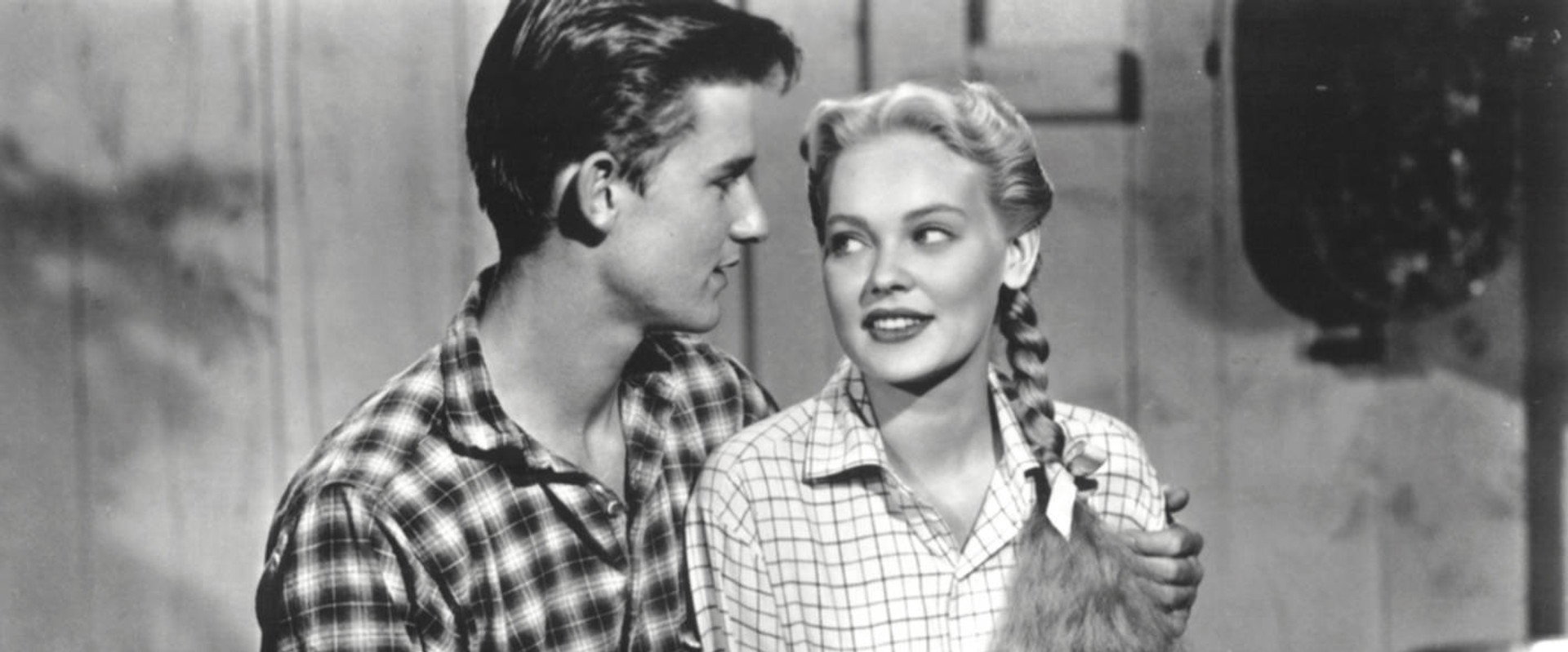 Black Midnight backdrop