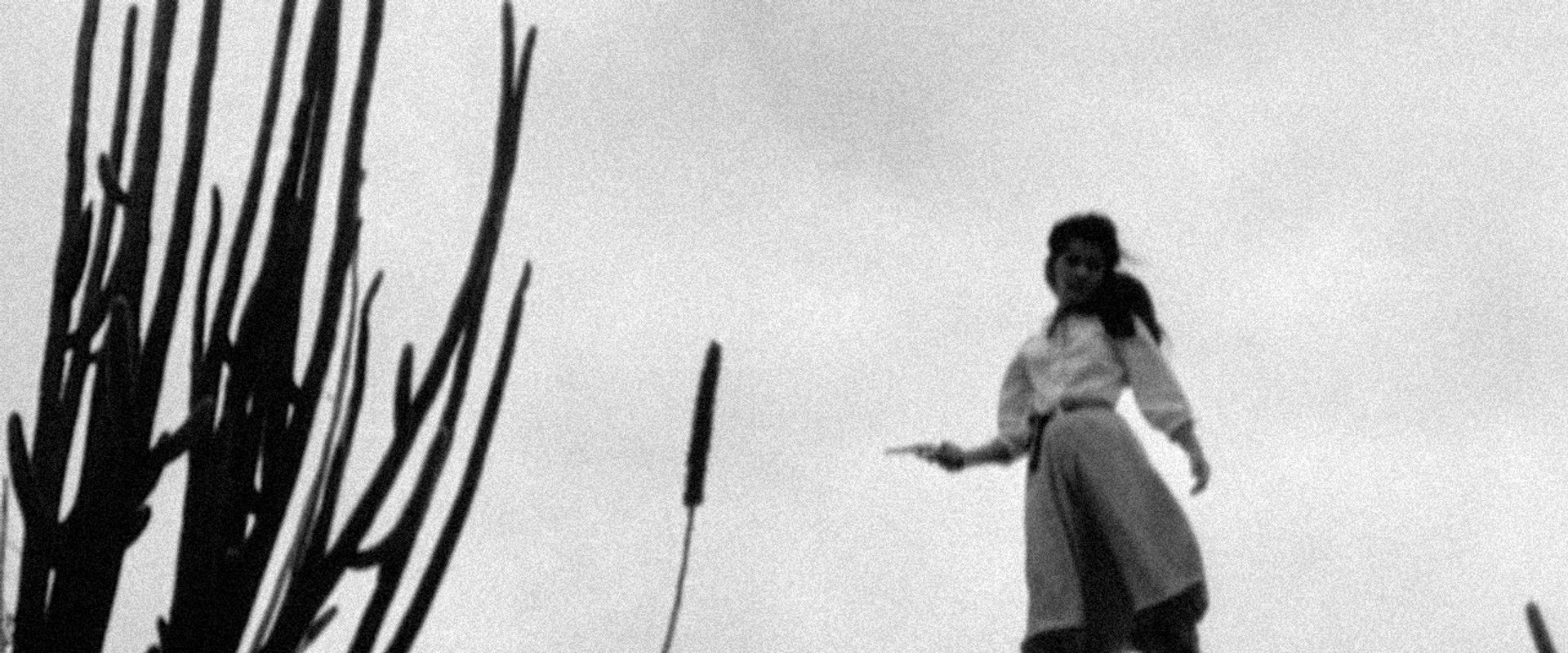 Red Mandacaru backdrop