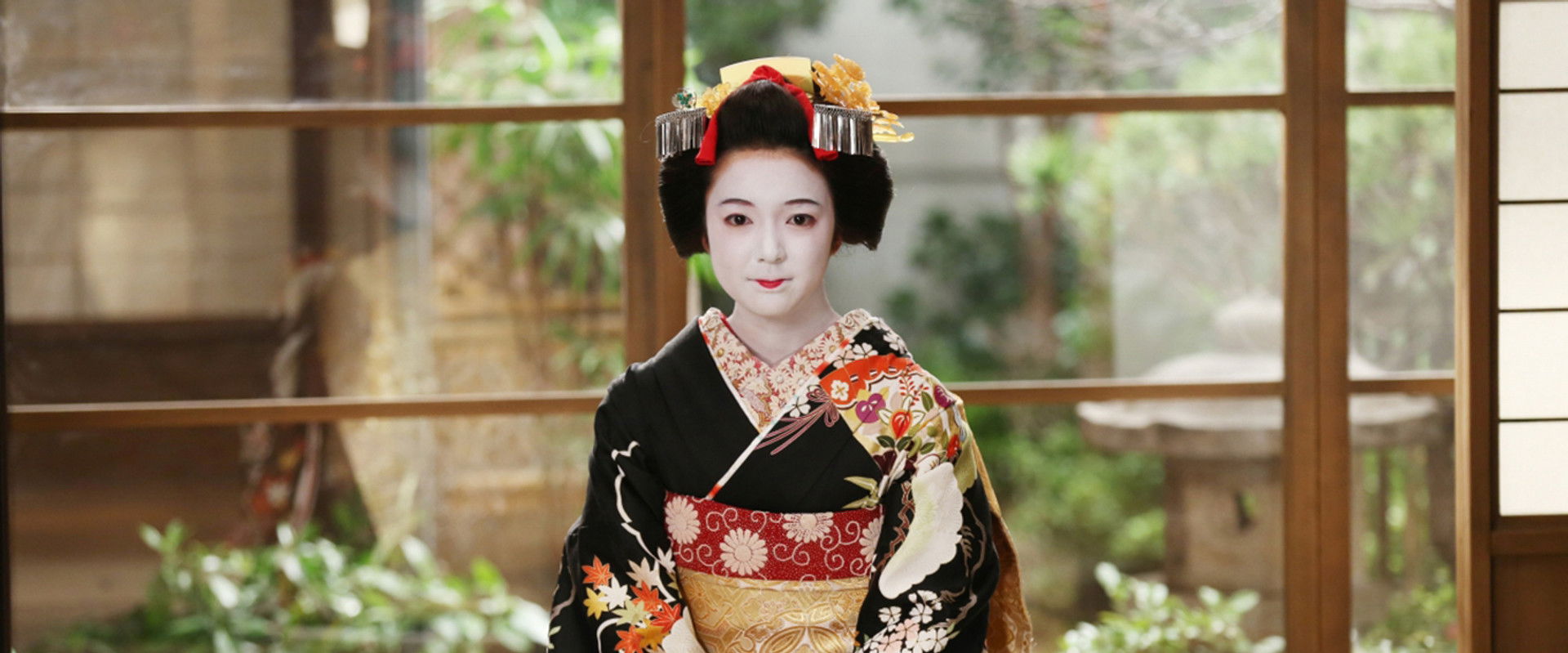 Lady Maiko backdrop