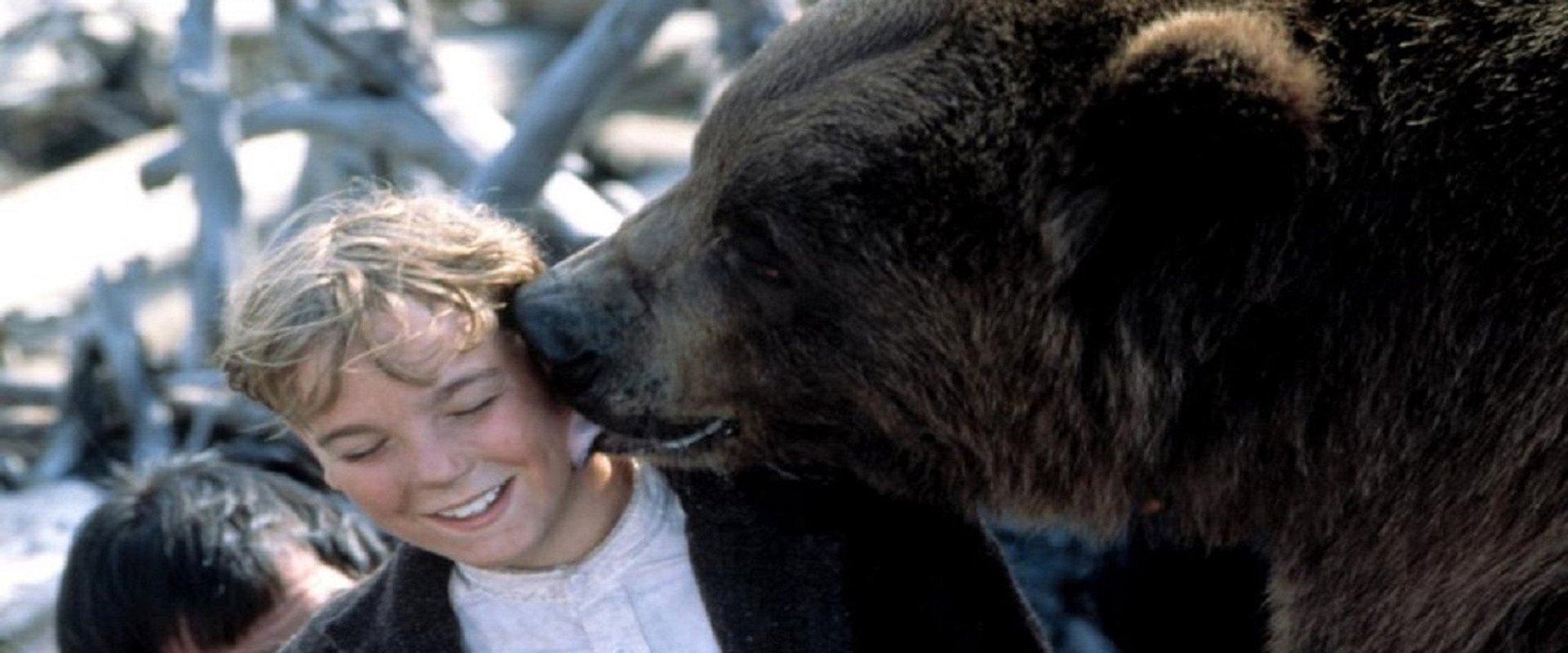 Grizzly Falls backdrop