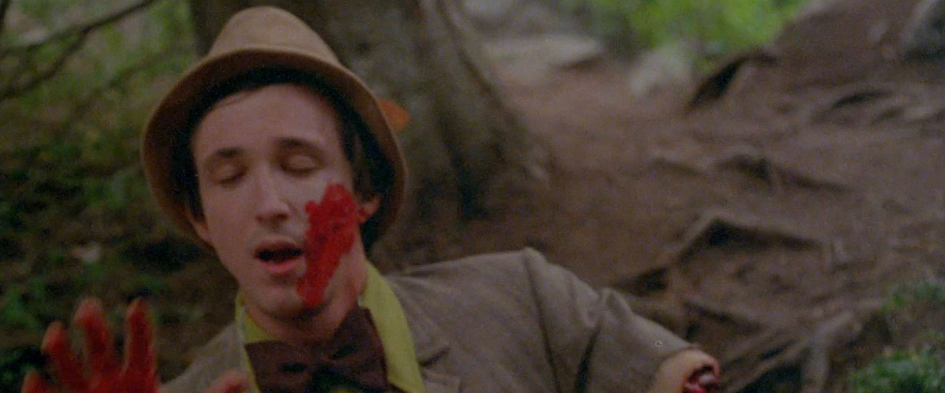 Don't Go in the Woods backdrop