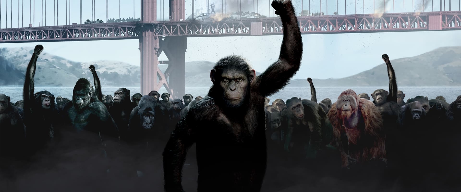 Rise of the Planet of the Apes backdrop