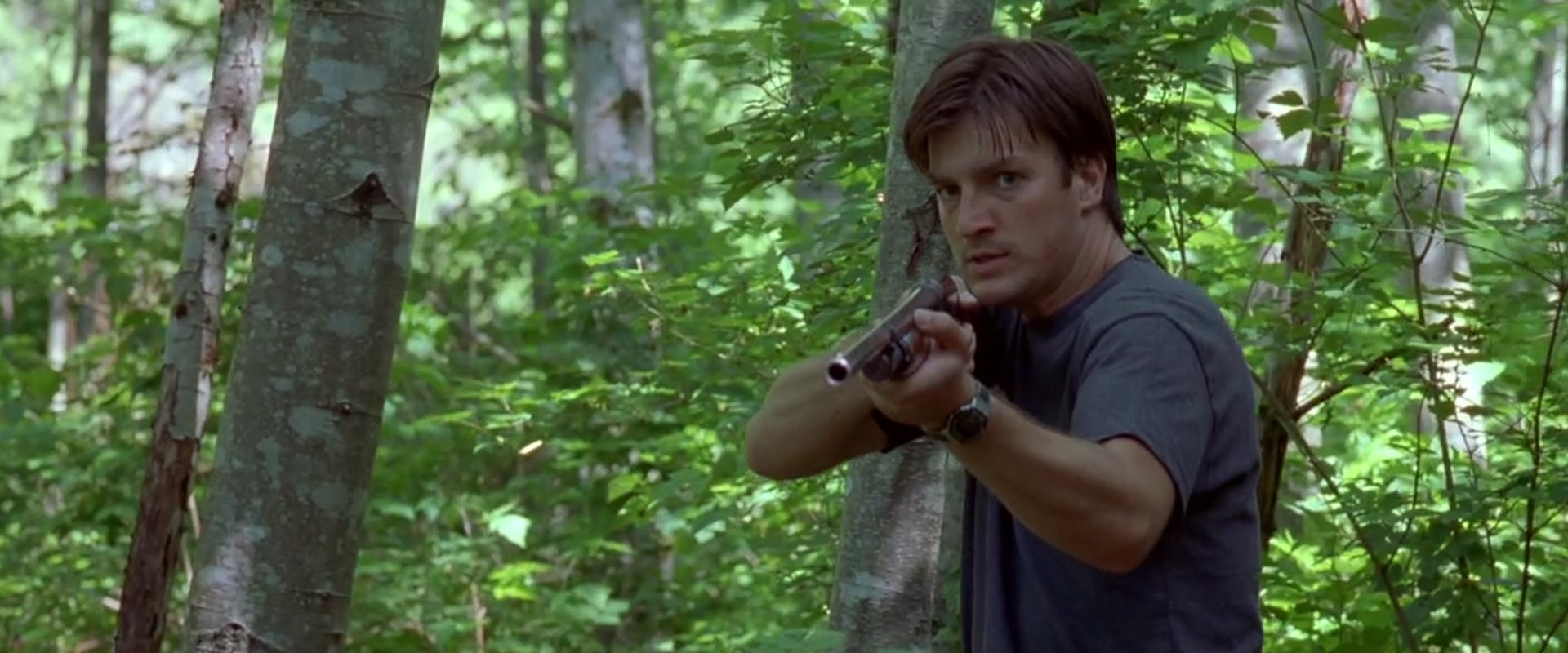 Water's Edge backdrop